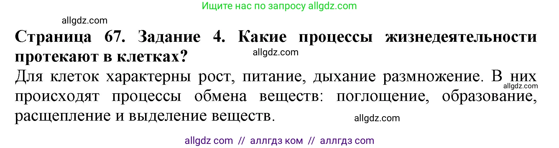 Биология, 5 класс Учебник, авторы: Пасечник Владимир Васильевич, Суматохин Сергей Витальевич, Гапонюк Зоя Георгиевна, Швецов Глеб Геннадьевич, издательство Просвещение, Москва, 2023, белого цвета, страница 67, номер 4, Решение