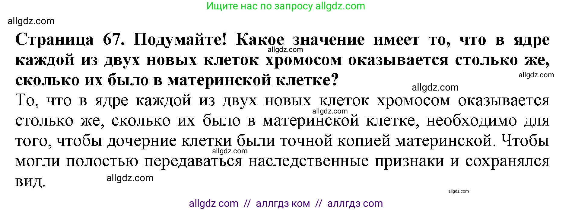 Биология, 5 класс Учебник, авторы: Пасечник Владимир Васильевич, Суматохин Сергей Витальевич, Гапонюк Зоя Георгиевна, Швецов Глеб Геннадьевич, издательство Просвещение, Москва, 2023, белого цвета, страница 67, Решение