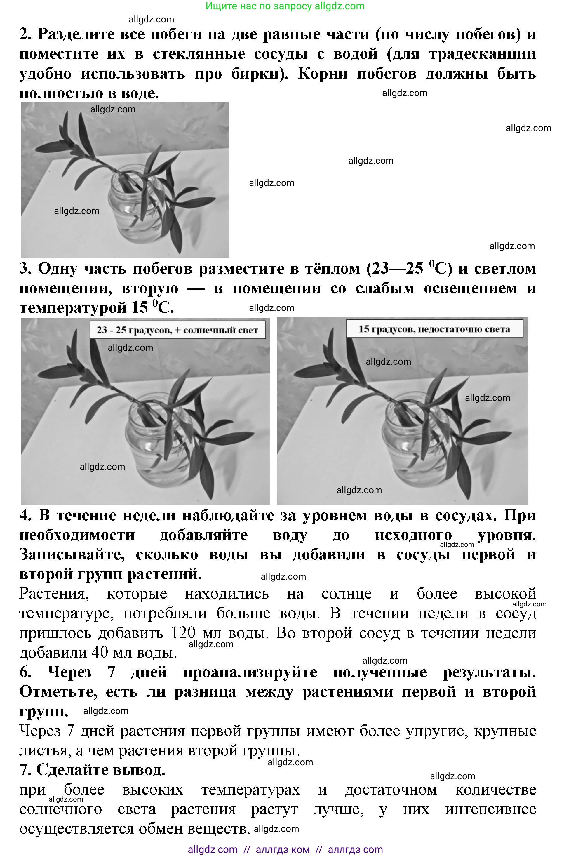 Биология, 5 класс Учебник, авторы: Пасечник Владимир Васильевич, Суматохин Сергей Витальевич, Гапонюк Зоя Георгиевна, Швецов Глеб Геннадьевич, издательство Просвещение, Москва, 2023, белого цвета, страница 73, Решение (продолжение 2)