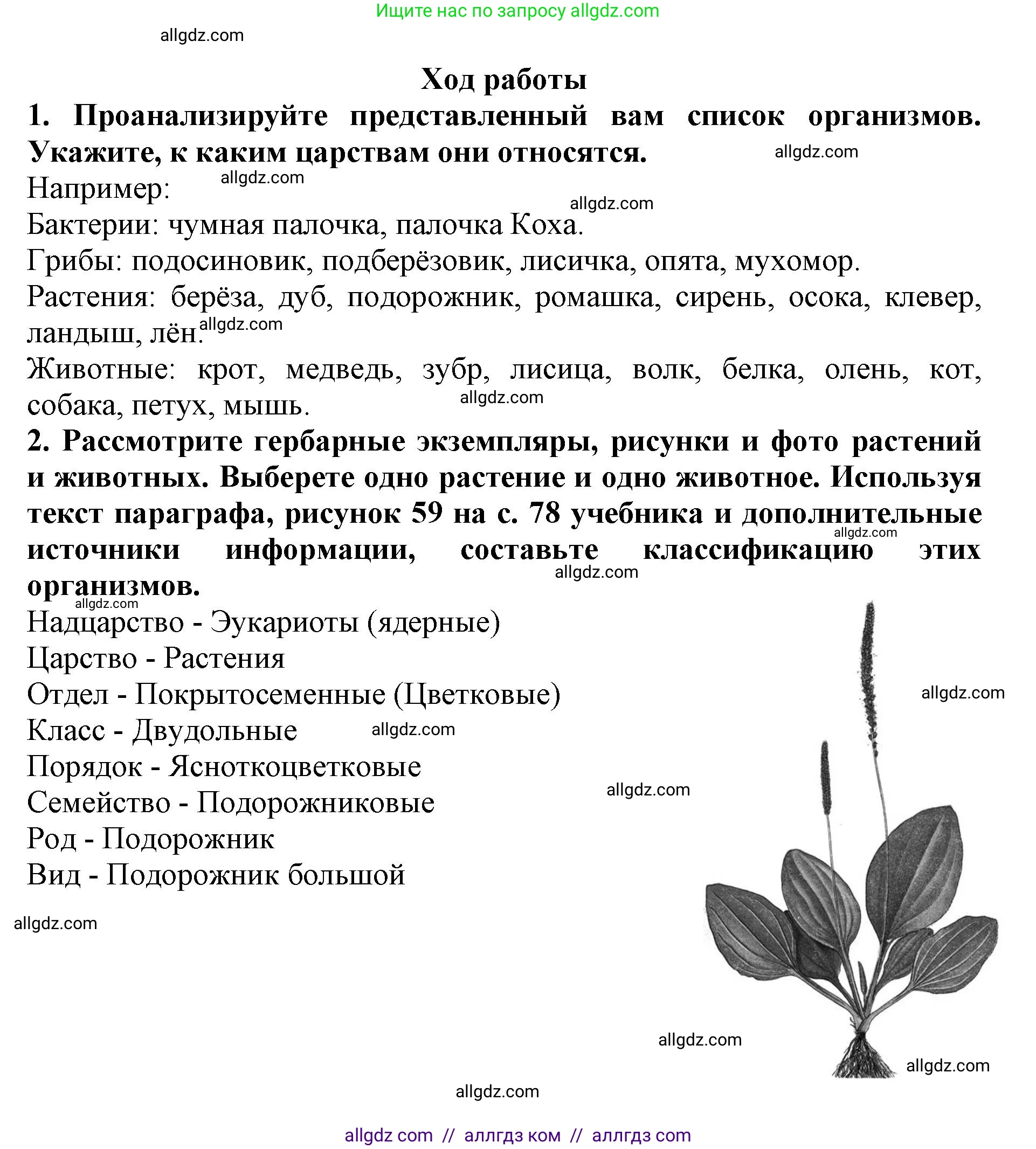 Биология, 5 класс Учебник, авторы: Пасечник Владимир Васильевич, Суматохин Сергей Витальевич, Гапонюк Зоя Георгиевна, Швецов Глеб Геннадьевич, издательство Просвещение, Москва, 2023, белого цвета, страница 79, Решение (продолжение 2)