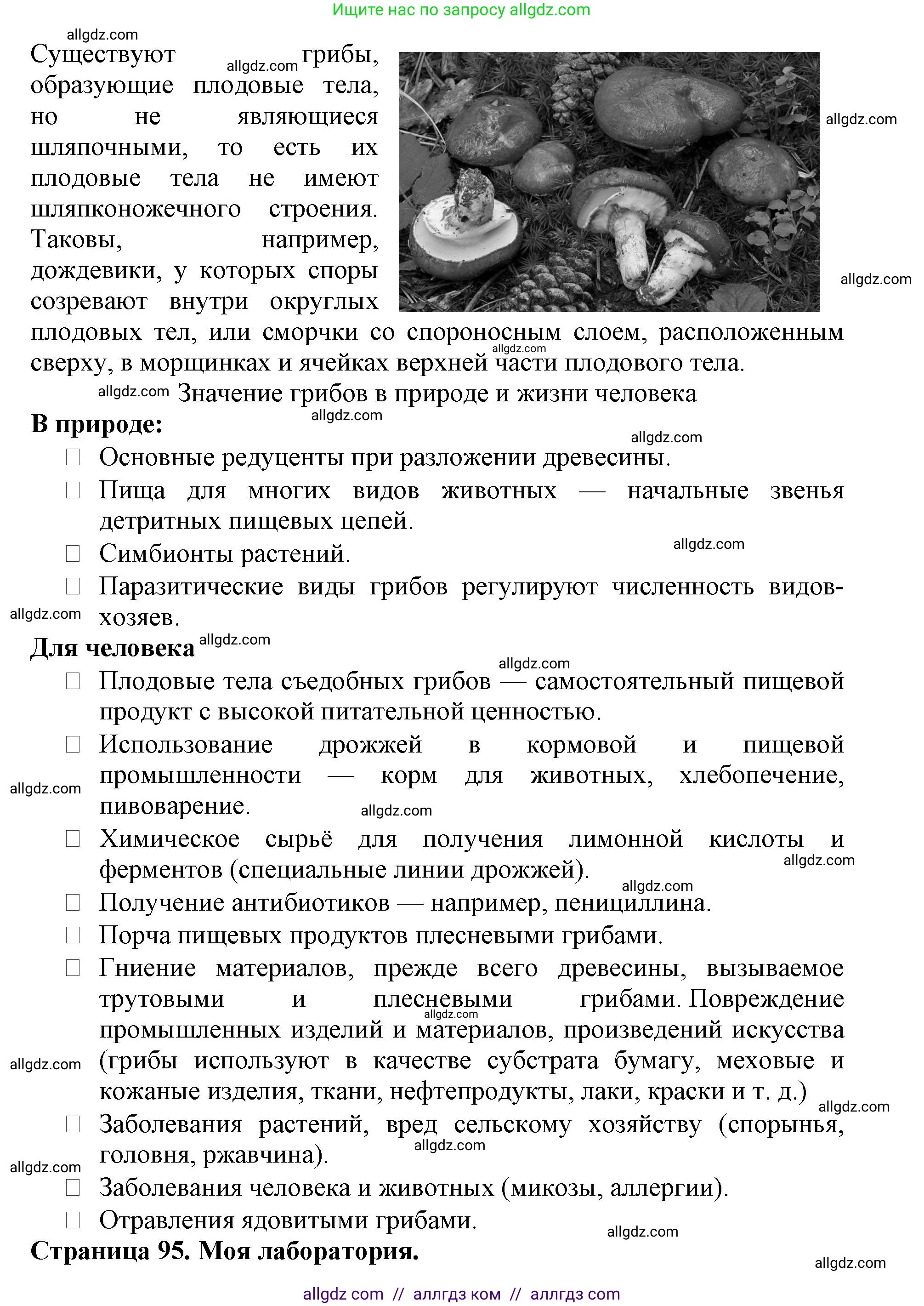 Биология, 5 класс Учебник, авторы: Пасечник Владимир Васильевич, Суматохин Сергей Витальевич, Гапонюк Зоя Георгиевна, Швецов Глеб Геннадьевич, издательство Просвещение, Москва, 2023, белого цвета, страница 91, Решение (продолжение 7)