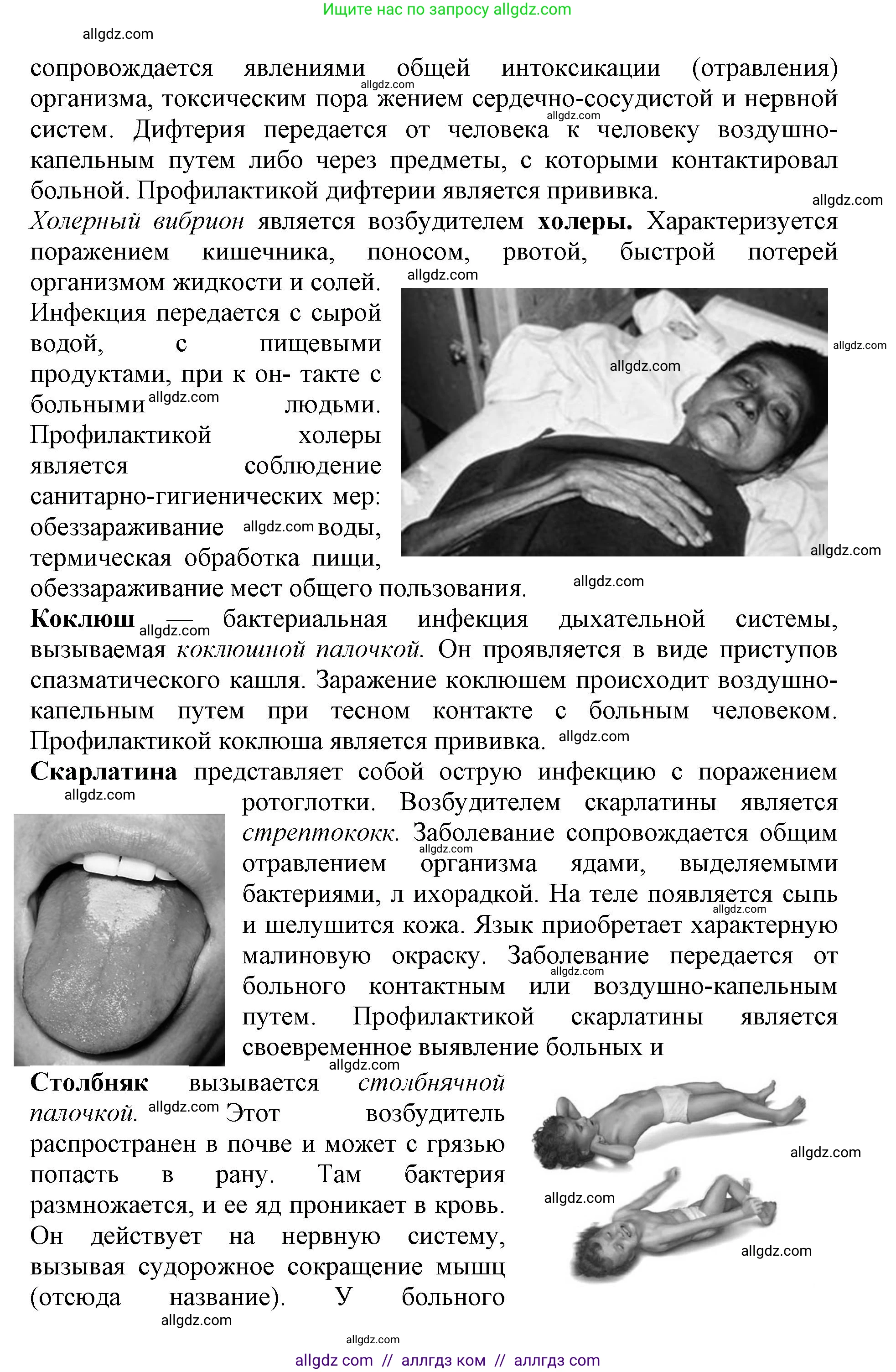 Биология, 5 класс Учебник, авторы: Пасечник Владимир Васильевич, Суматохин Сергей Витальевич, Гапонюк Зоя Георгиевна, Швецов Глеб Геннадьевич, издательство Просвещение, Москва, 2023, белого цвета, страница 95, Решение (продолжение 2)