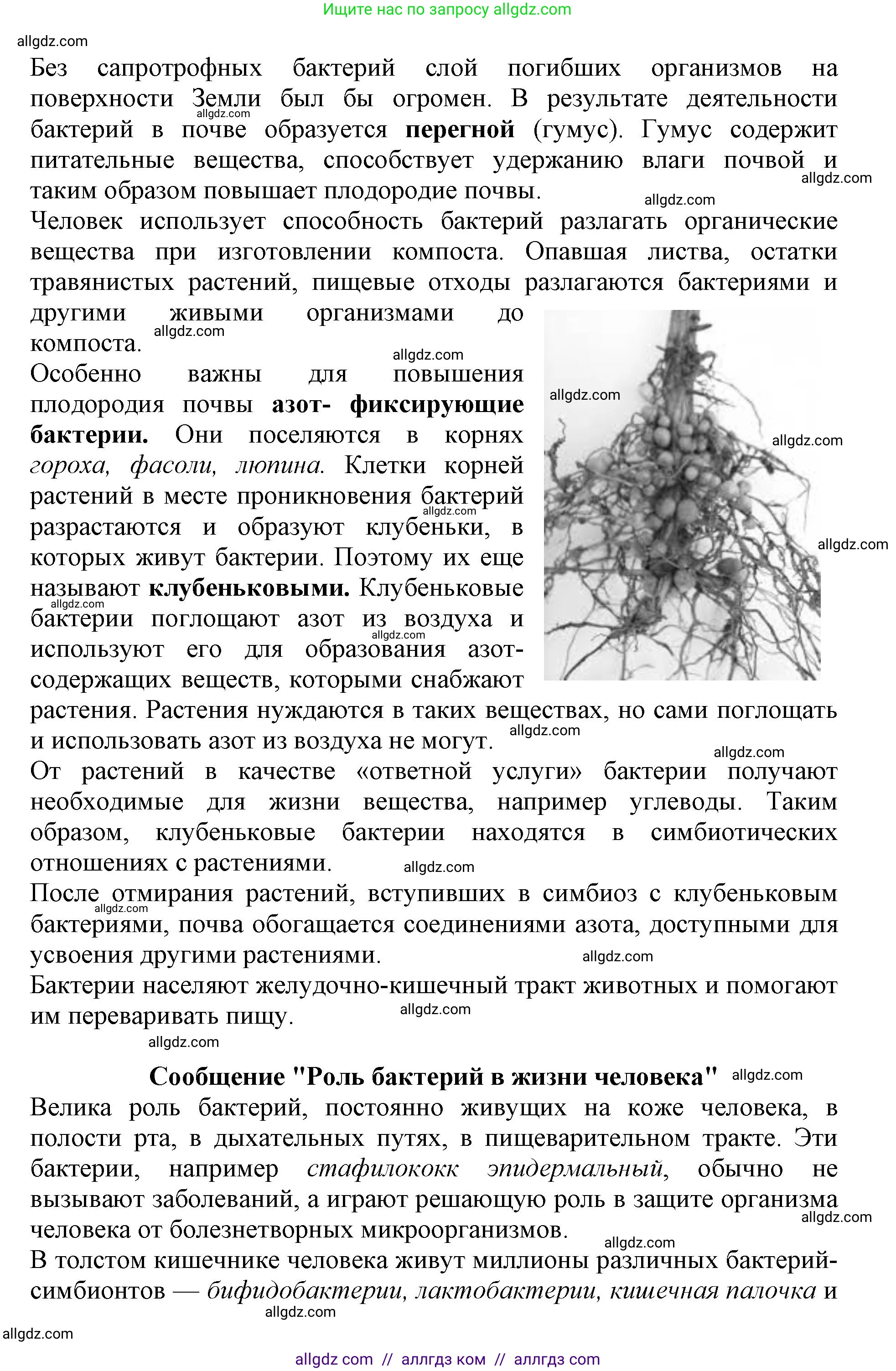 Биология, 5 класс Учебник, авторы: Пасечник Владимир Васильевич, Суматохин Сергей Витальевич, Гапонюк Зоя Георгиевна, Швецов Глеб Геннадьевич, издательство Просвещение, Москва, 2023, белого цвета, страница 95, Решение (продолжение 4)
