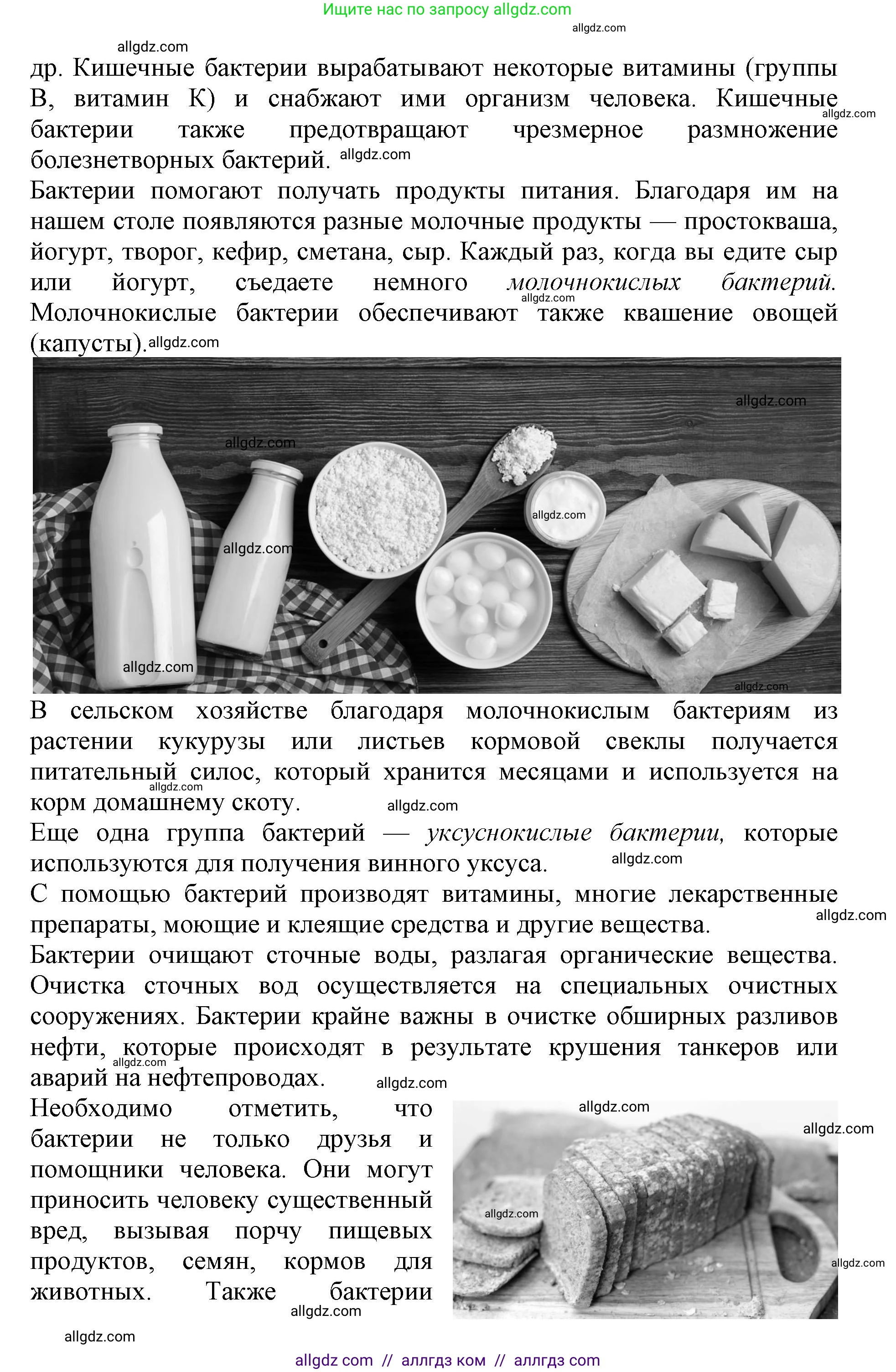 Биология, 5 класс Учебник, авторы: Пасечник Владимир Васильевич, Суматохин Сергей Витальевич, Гапонюк Зоя Георгиевна, Швецов Глеб Геннадьевич, издательство Просвещение, Москва, 2023, белого цвета, страница 95, Решение (продолжение 5)