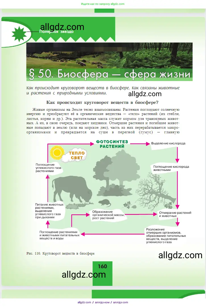 География, 5-6 класс Учебник, авторы: Алексеев Александр Иванович, Николина Вера Викторовна, Липкина Елена Карловна, Болысов Сергей Иванович, Кузнецова Галина Юрьевна, издательство Просвещение, Москва, 2023, жёлтого цвета, страница 160