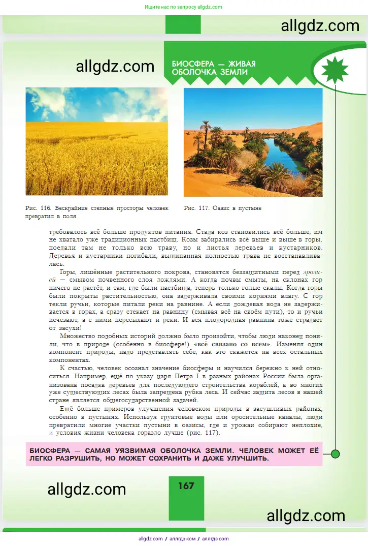 География, 5-6 класс Учебник, авторы: Алексеев Александр Иванович, Николина Вера Викторовна, Липкина Елена Карловна, Болысов Сергей Иванович, Кузнецова Галина Юрьевна, издательство Просвещение, Москва, 2023, жёлтого цвета, страница 167