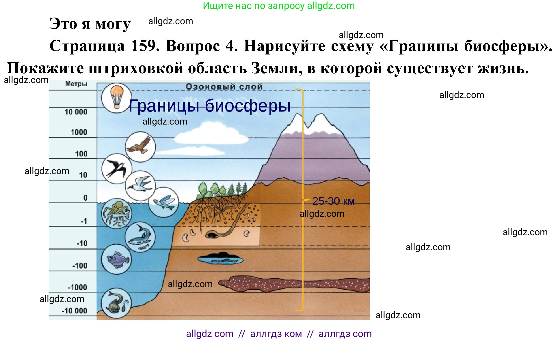 География, 5-6 класс Учебник, авторы: Алексеев Александр Иванович, Николина Вера Викторовна, Липкина Елена Карловна, Болысов Сергей Иванович, Кузнецова Галина Юрьевна, издательство Просвещение, Москва, 2023, жёлтого цвета, страница 159, номер 4, Решение