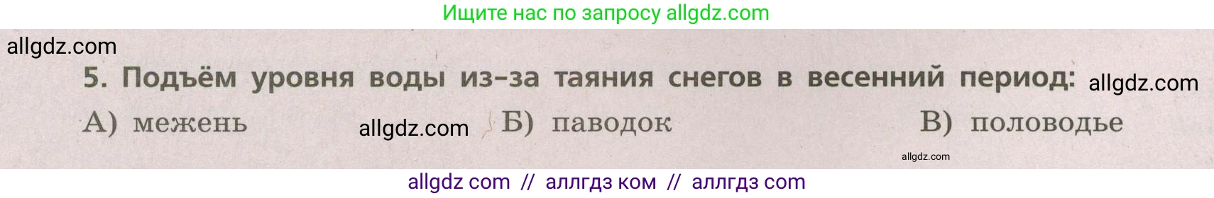 География, 5-6 класс Проверочные работы, авторы: Бондарева Мария Владимировна, Шидловский Игорь Михайлович, издательство Просвещение, Москва, 2023, жёлтого цвета, страница 36, номер 5, Условие