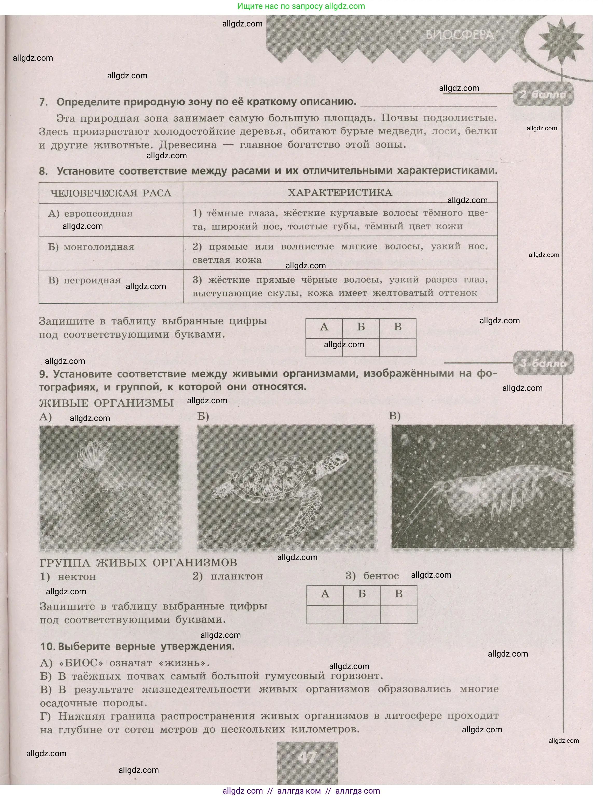 География, 5-6 класс Проверочные работы, авторы: Бондарева Мария Владимировна, Шидловский Игорь Михайлович, издательство Просвещение, Москва, 2023, жёлтого цвета, страница 47