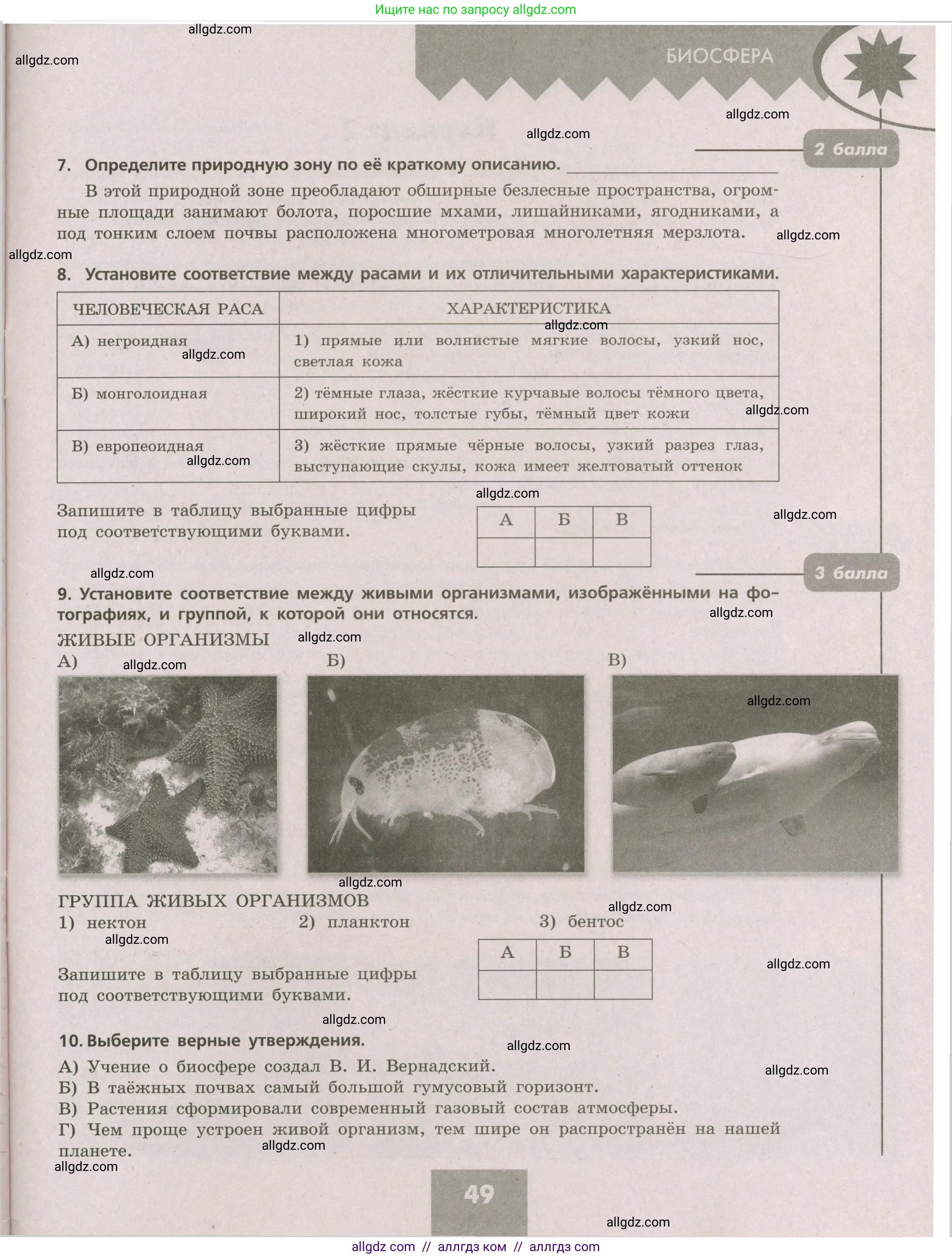 География, 5-6 класс Проверочные работы, авторы: Бондарева Мария Владимировна, Шидловский Игорь Михайлович, издательство Просвещение, Москва, 2023, жёлтого цвета, страница 49
