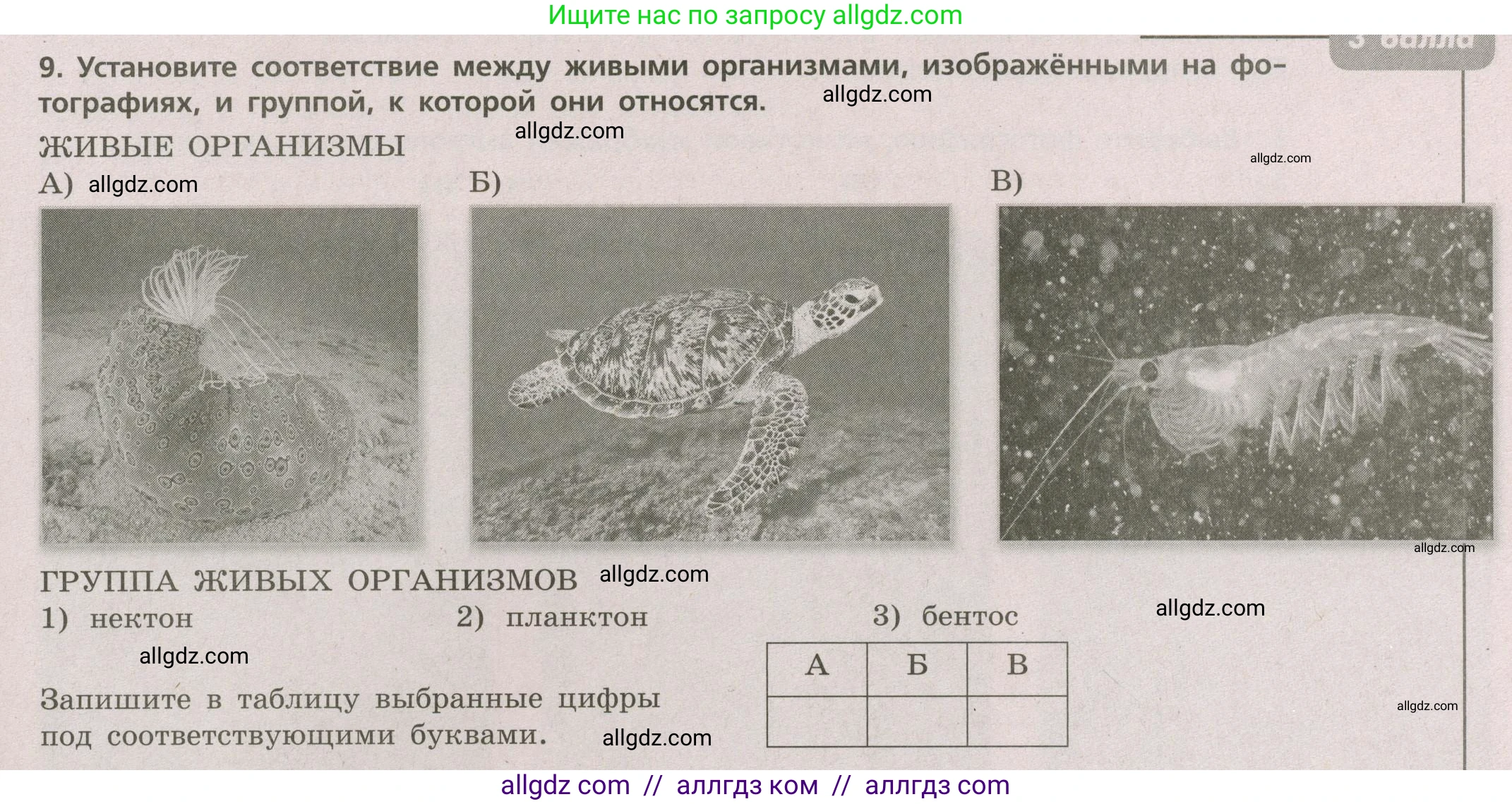 География, 5-6 класс Проверочные работы, авторы: Бондарева Мария Владимировна, Шидловский Игорь Михайлович, издательство Просвещение, Москва, 2023, жёлтого цвета, страница 47, номер 9, Условие