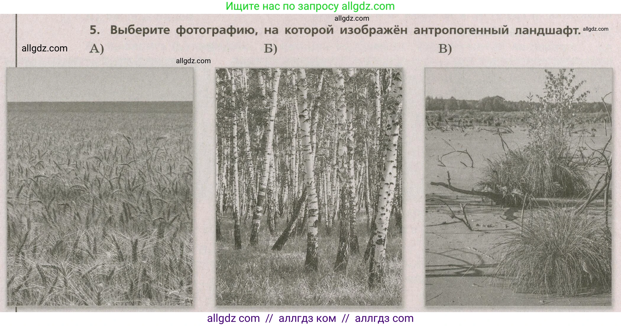 География, 5-6 класс Проверочные работы, авторы: Бондарева Мария Владимировна, Шидловский Игорь Михайлович, издательство Просвещение, Москва, 2023, жёлтого цвета, страница 48, номер 5, Условие
