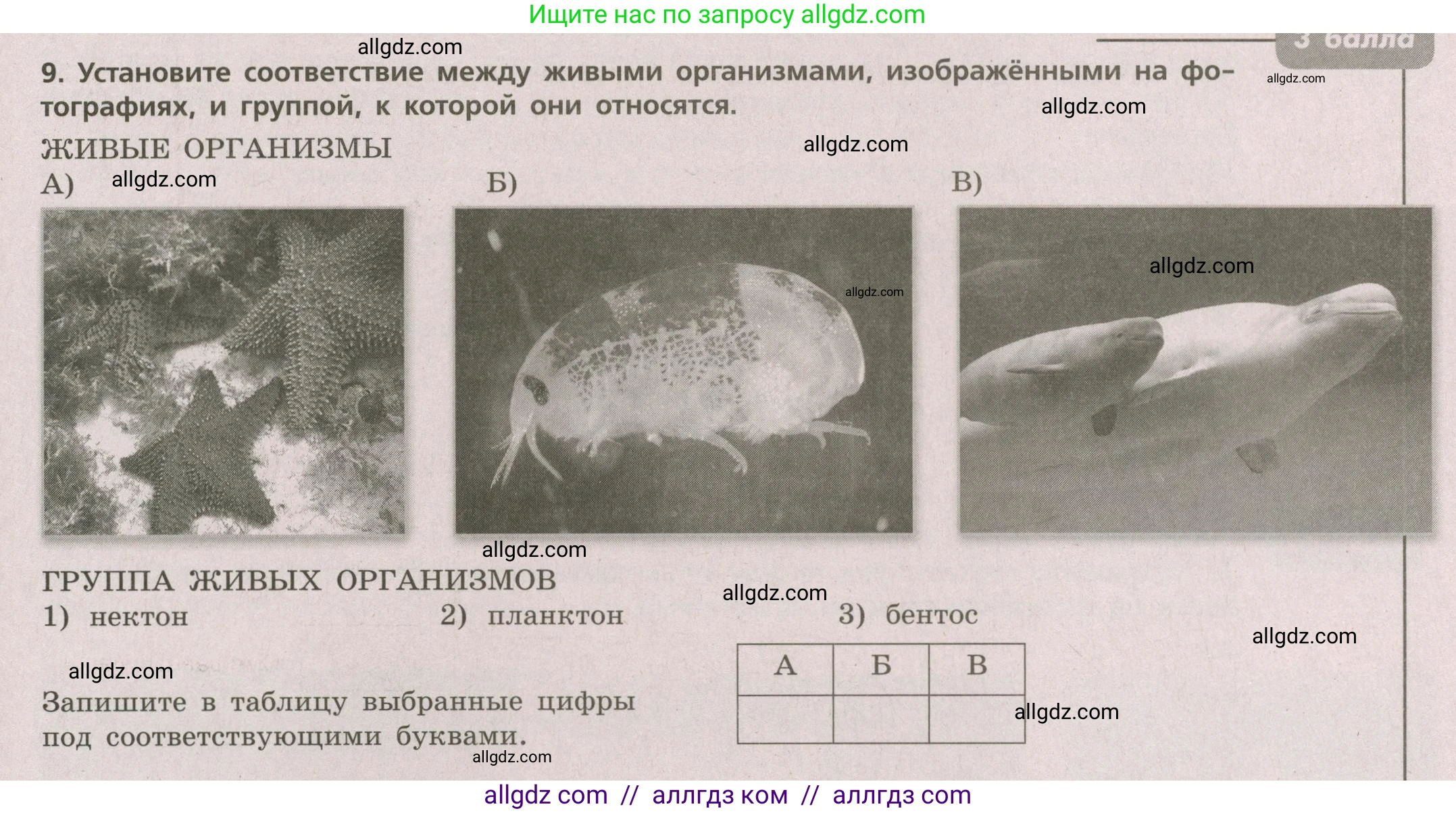 География, 5-6 класс Проверочные работы, авторы: Бондарева Мария Владимировна, Шидловский Игорь Михайлович, издательство Просвещение, Москва, 2023, жёлтого цвета, страница 49, номер 9, Условие