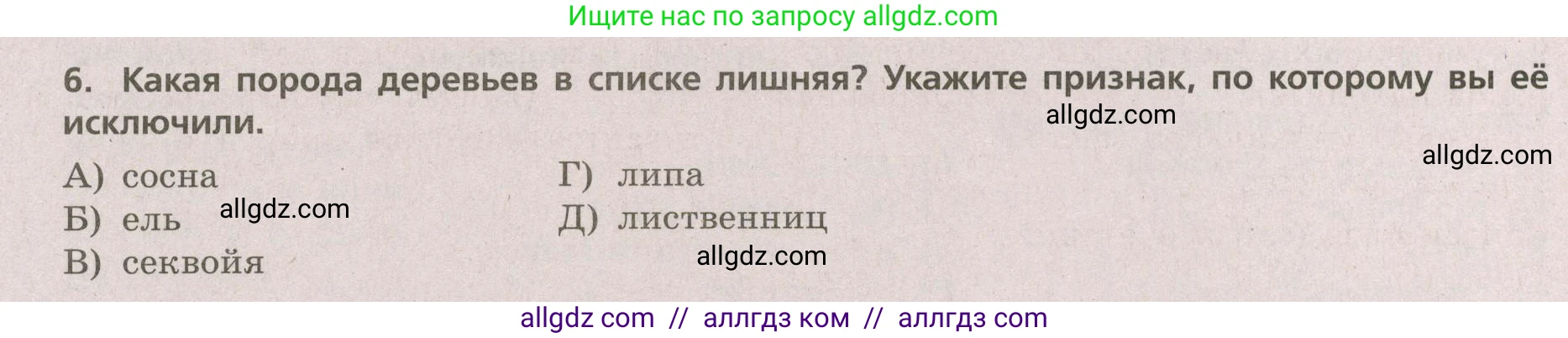География, 5-6 класс Проверочные работы, авторы: Бондарева Мария Владимировна, Шидловский Игорь Михайлович, издательство Просвещение, Москва, 2023, жёлтого цвета, страница 52, номер 6, Условие