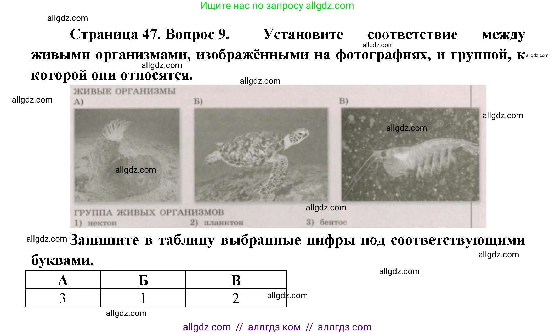 География, 5-6 класс Проверочные работы, авторы: Бондарева Мария Владимировна, Шидловский Игорь Михайлович, издательство Просвещение, Москва, 2023, жёлтого цвета, страница 47, номер 9, Решение