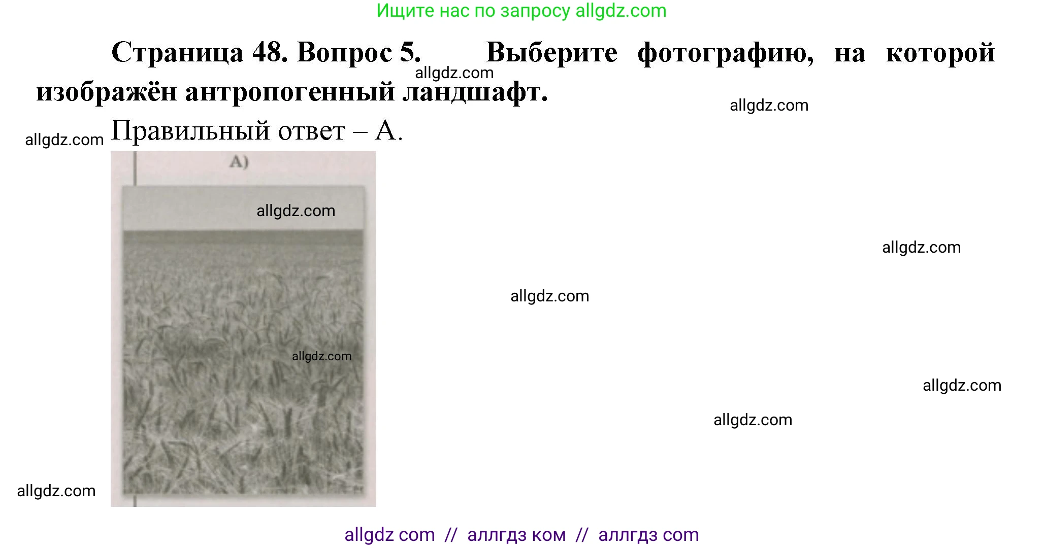География, 5-6 класс Проверочные работы, авторы: Бондарева Мария Владимировна, Шидловский Игорь Михайлович, издательство Просвещение, Москва, 2023, жёлтого цвета, страница 48, номер 5, Решение