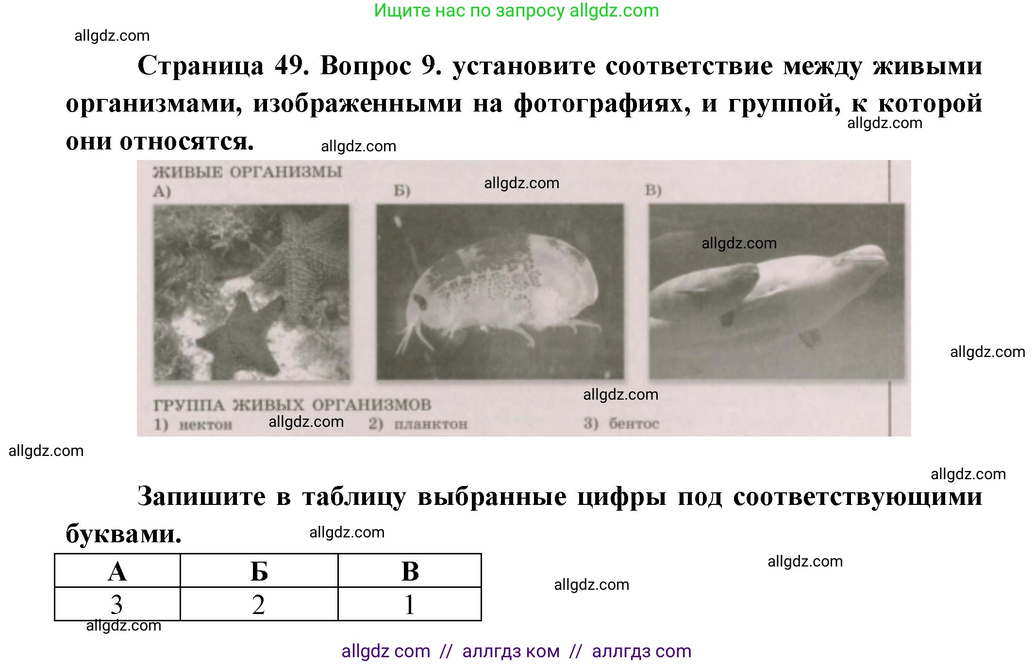 География, 5-6 класс Проверочные работы, авторы: Бондарева Мария Владимировна, Шидловский Игорь Михайлович, издательство Просвещение, Москва, 2023, жёлтого цвета, страница 49, номер 9, Решение