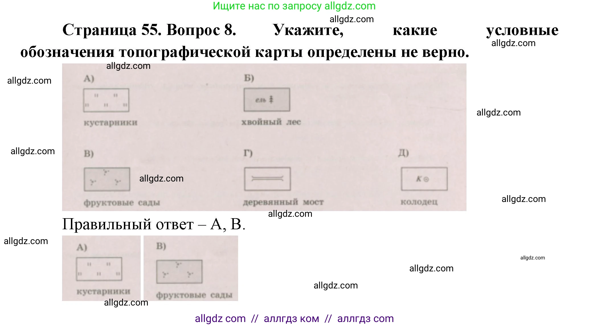 География, 5-6 класс Проверочные работы, авторы: Бондарева Мария Владимировна, Шидловский Игорь Михайлович, издательство Просвещение, Москва, 2023, жёлтого цвета, страница 55, номер 8, Решение