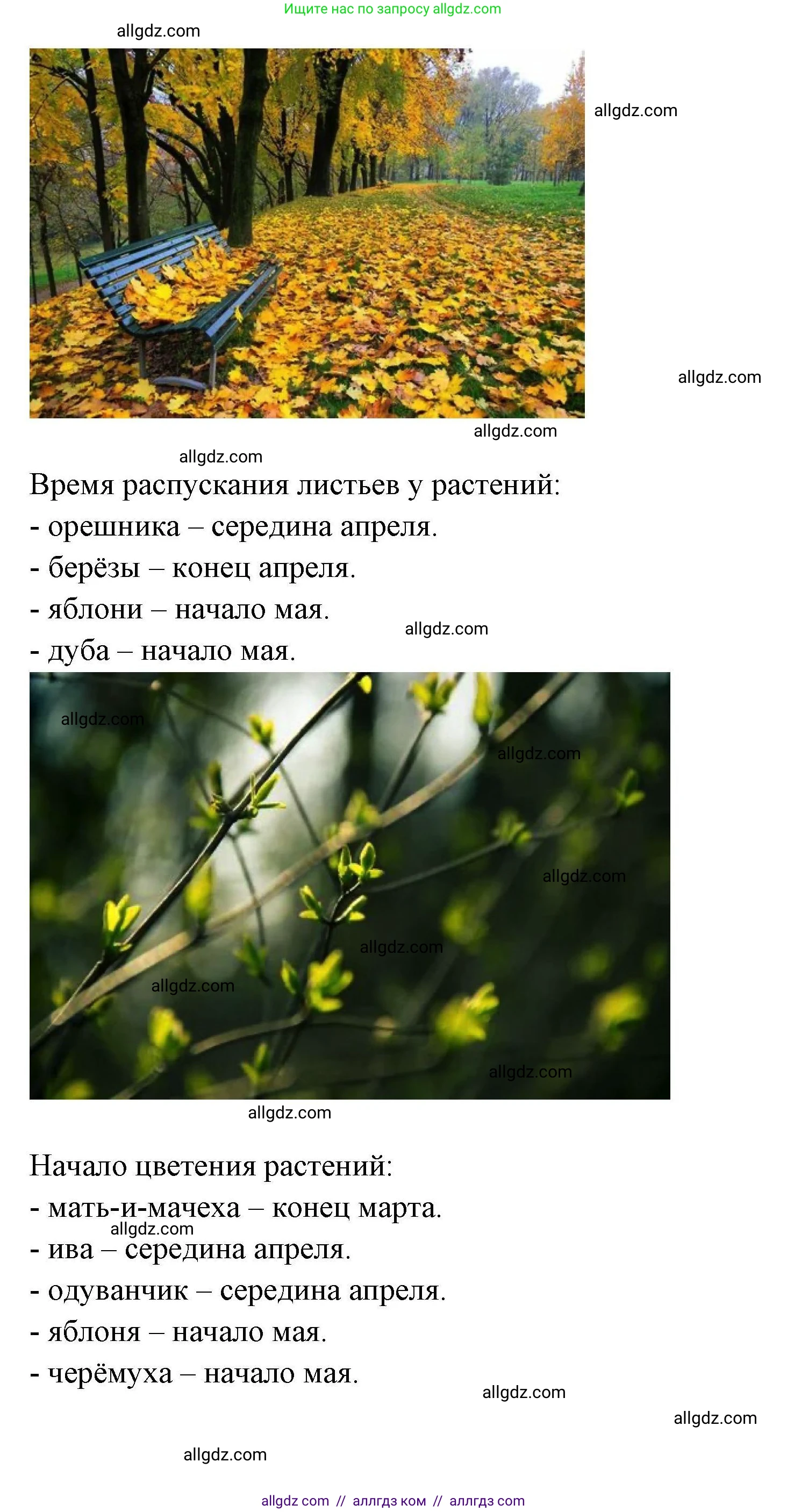 География, 5-6 класс Практические работы, автор: Дубинина Софья Петровна, издательство Просвещение, Москва, 2023, жёлтого цвета, страница 4, номер 2, Решение (продолжение 2)