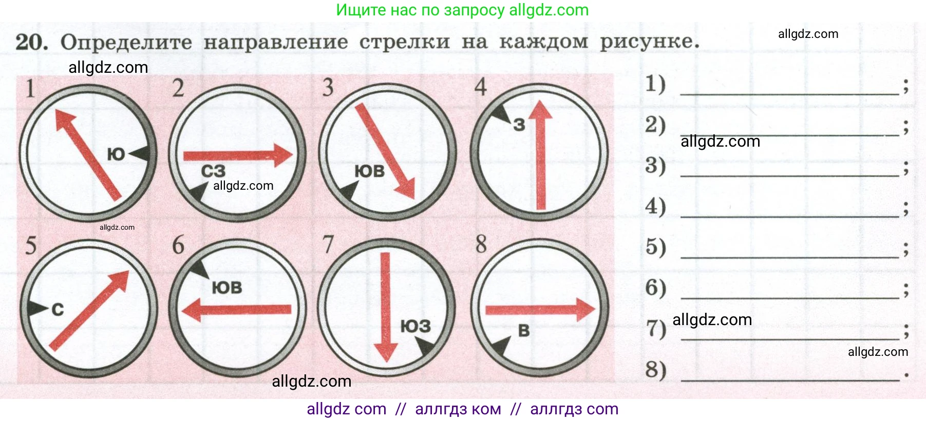 География, 5-6 класс Мой тренажёр, автор: Николина Вера Викторовна, издательство Просвещение, Москва, 2023, жёлтого цвета, страница 21, номер 20, Условие