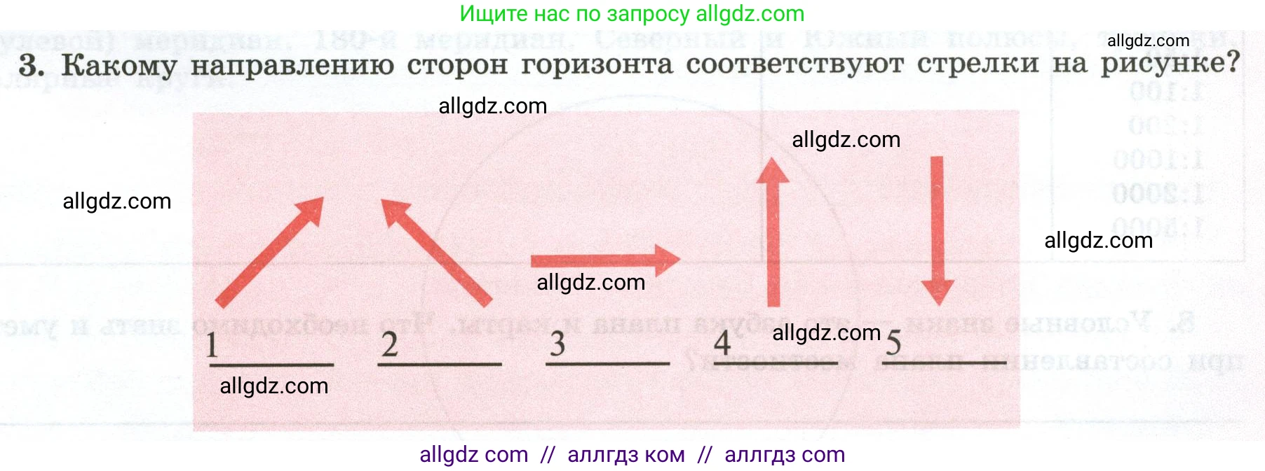 География, 5-6 класс Мой тренажёр, автор: Николина Вера Викторовна, издательство Просвещение, Москва, 2023, жёлтого цвета, страница 17, номер 3, Условие