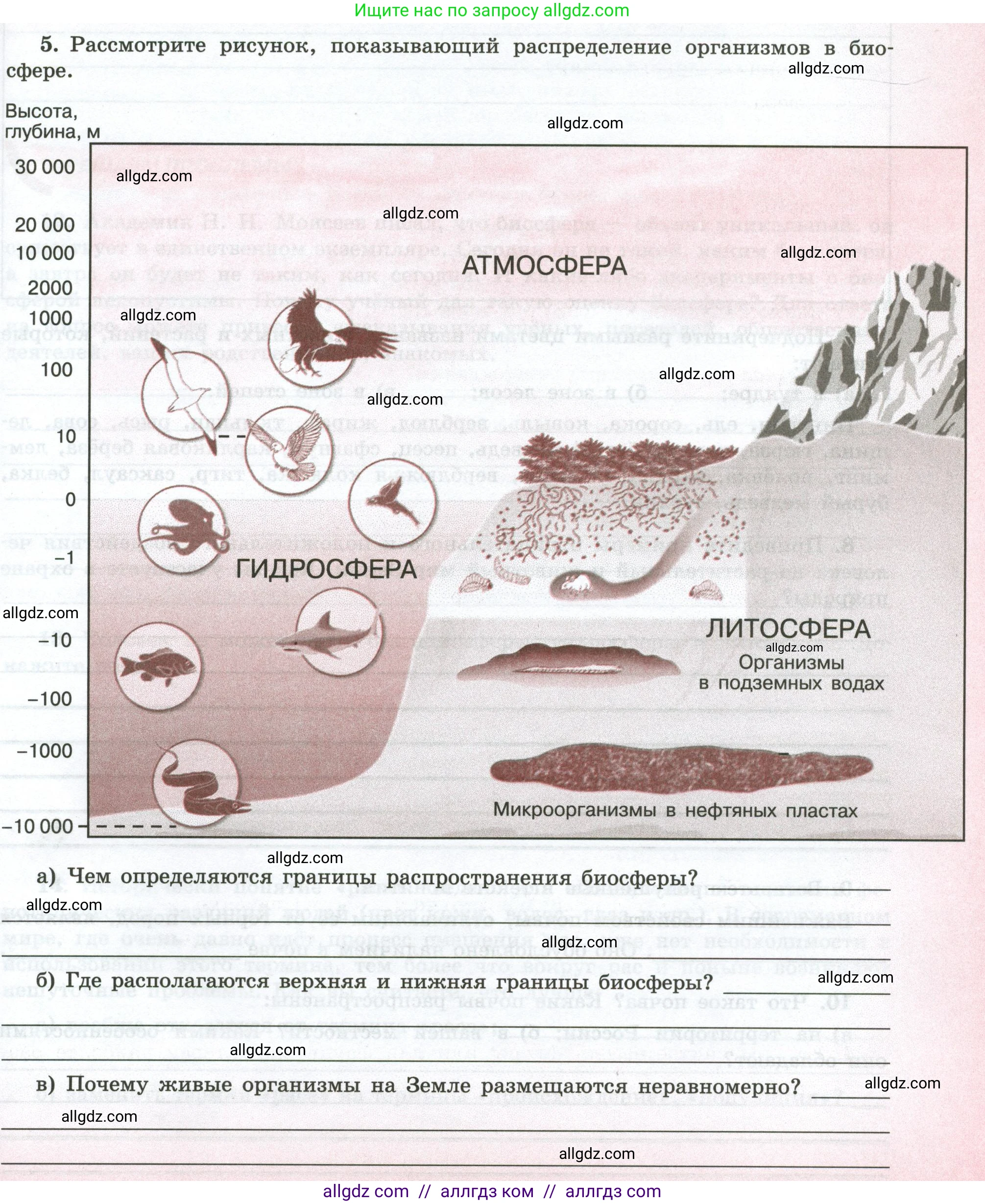 География, 5-6 класс Мой тренажёр, автор: Николина Вера Викторовна, издательство Просвещение, Москва, 2023, жёлтого цвета, страница 67, номер 5, Условие