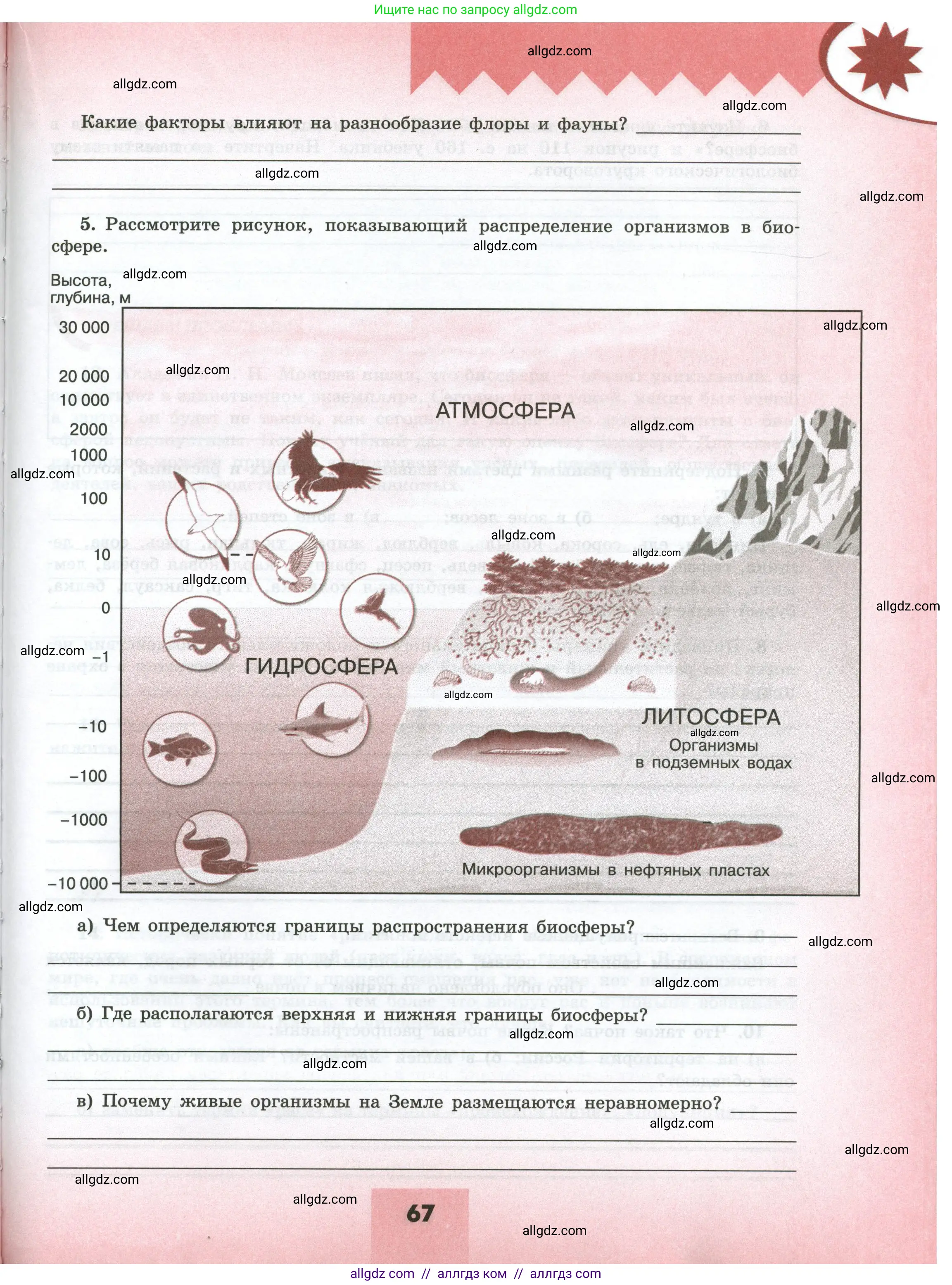 География, 5-6 класс Мой тренажёр, автор: Николина Вера Викторовна, издательство Просвещение, Москва, 2023, жёлтого цвета, страница 67