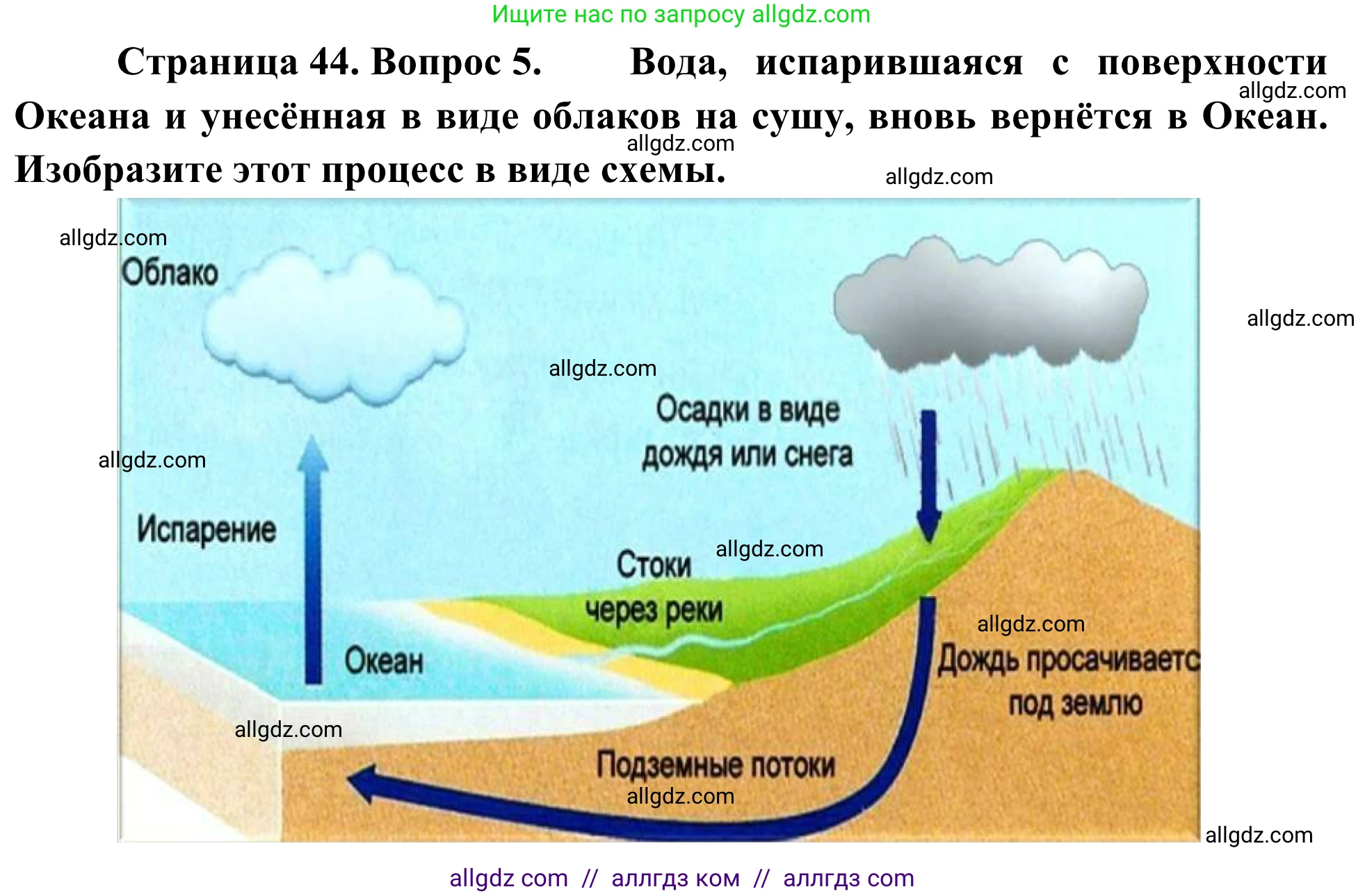 География, 5-6 класс Мой тренажёр, автор: Николина Вера Викторовна, издательство Просвещение, Москва, 2023, жёлтого цвета, страница 44, номер 5, Решение