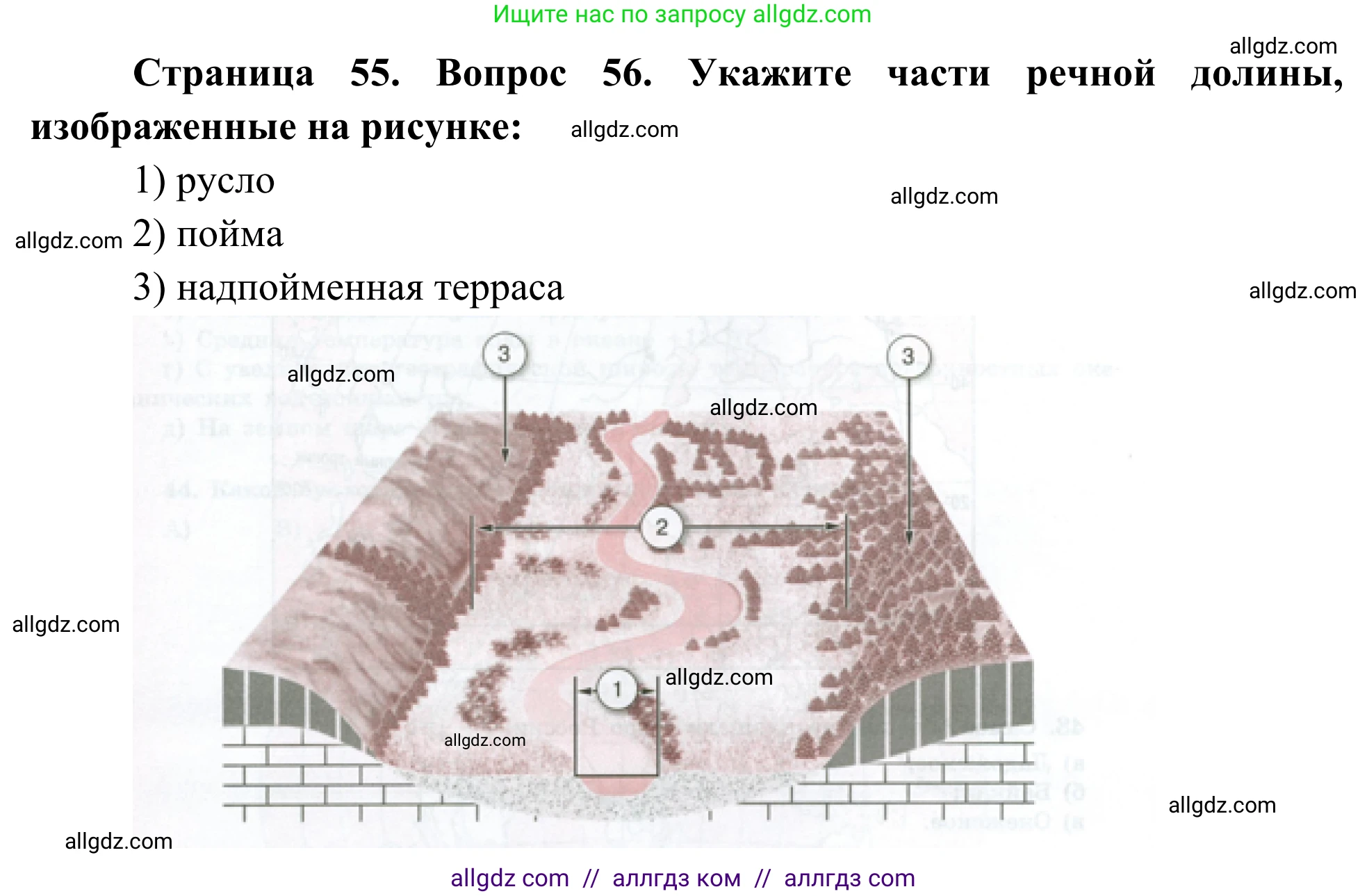 География, 5-6 класс Мой тренажёр, автор: Николина Вера Викторовна, издательство Просвещение, Москва, 2023, жёлтого цвета, страница 56, номер 51, Решение
