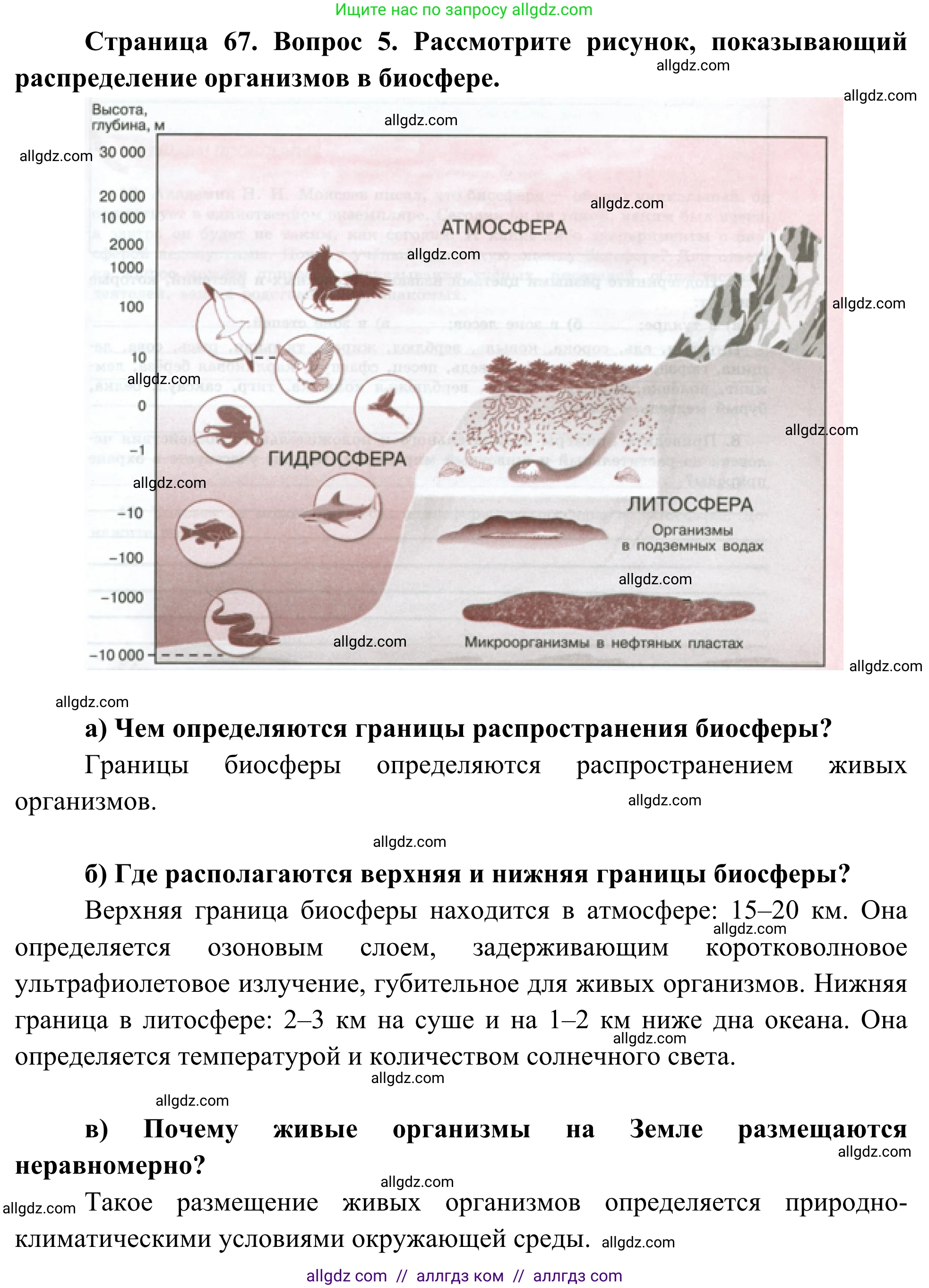 География, 5-6 класс Мой тренажёр, автор: Николина Вера Викторовна, издательство Просвещение, Москва, 2023, жёлтого цвета, страница 67, номер 5, Решение