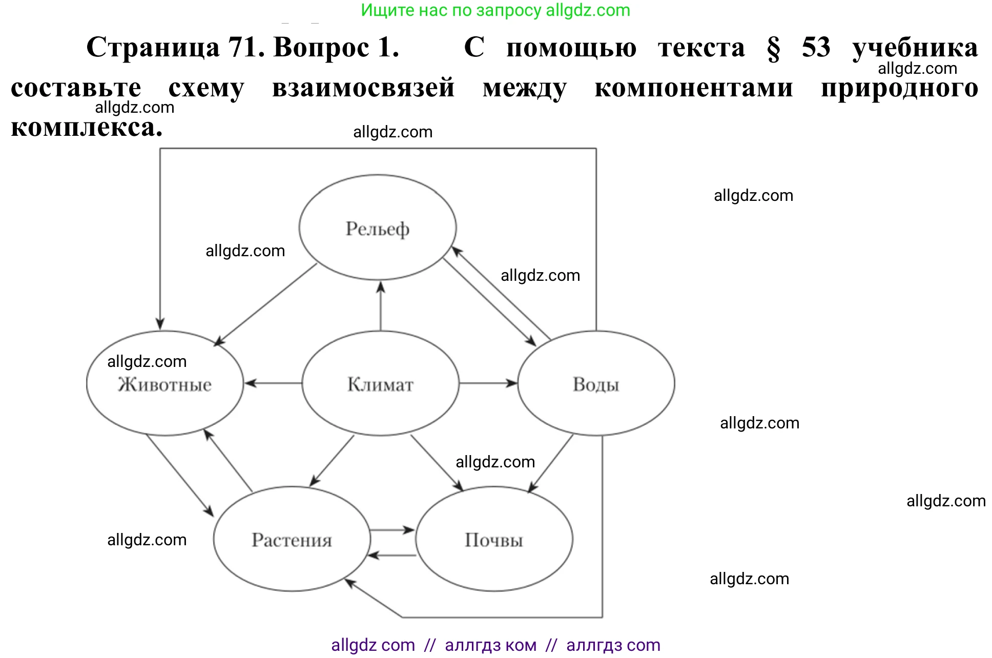География, 5-6 класс Мой тренажёр, автор: Николина Вера Викторовна, издательство Просвещение, Москва, 2023, жёлтого цвета, страница 71, номер 1, Решение
