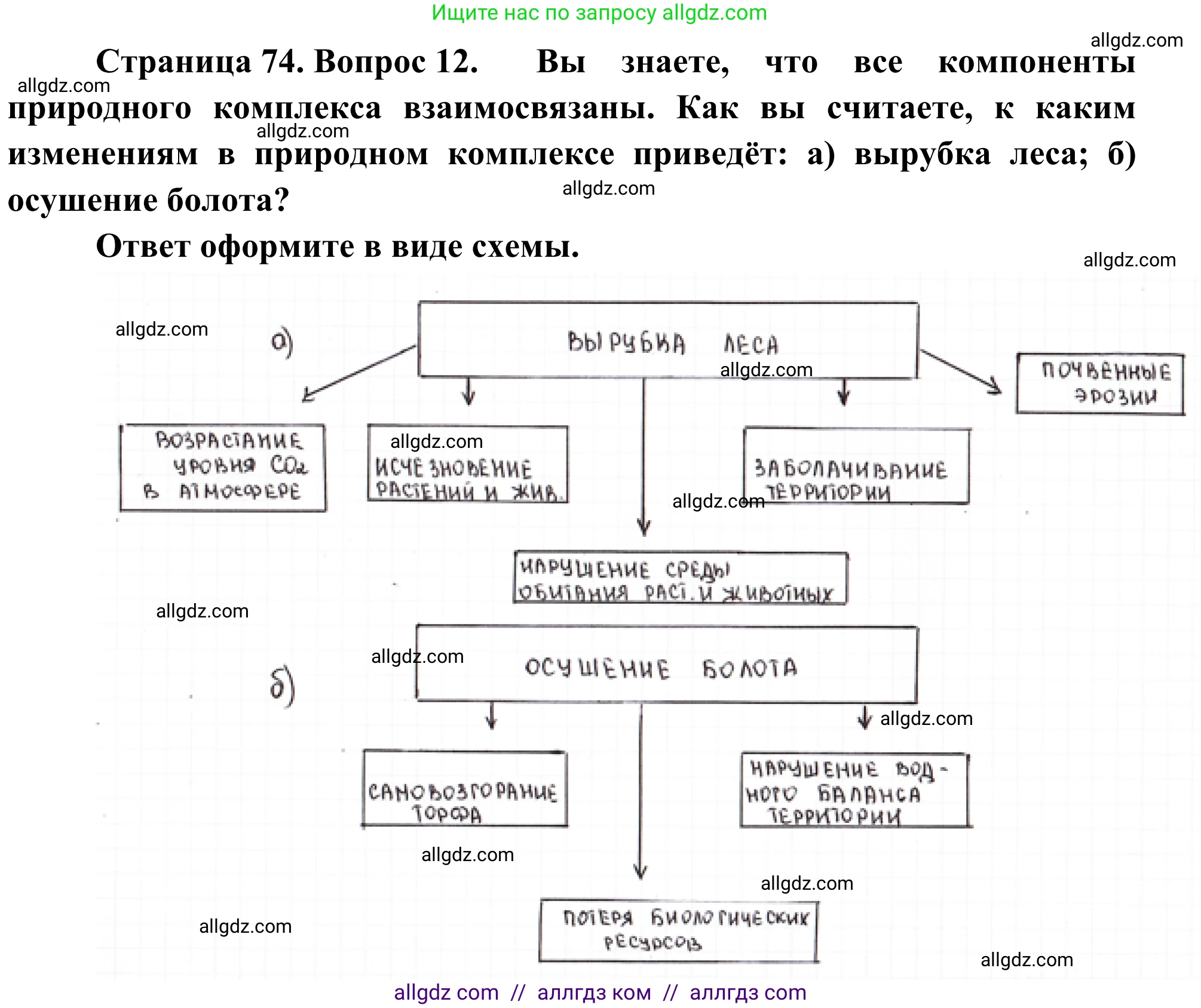 География, 5-6 класс Мой тренажёр, автор: Николина Вера Викторовна, издательство Просвещение, Москва, 2023, жёлтого цвета, страница 74, номер 12, Решение