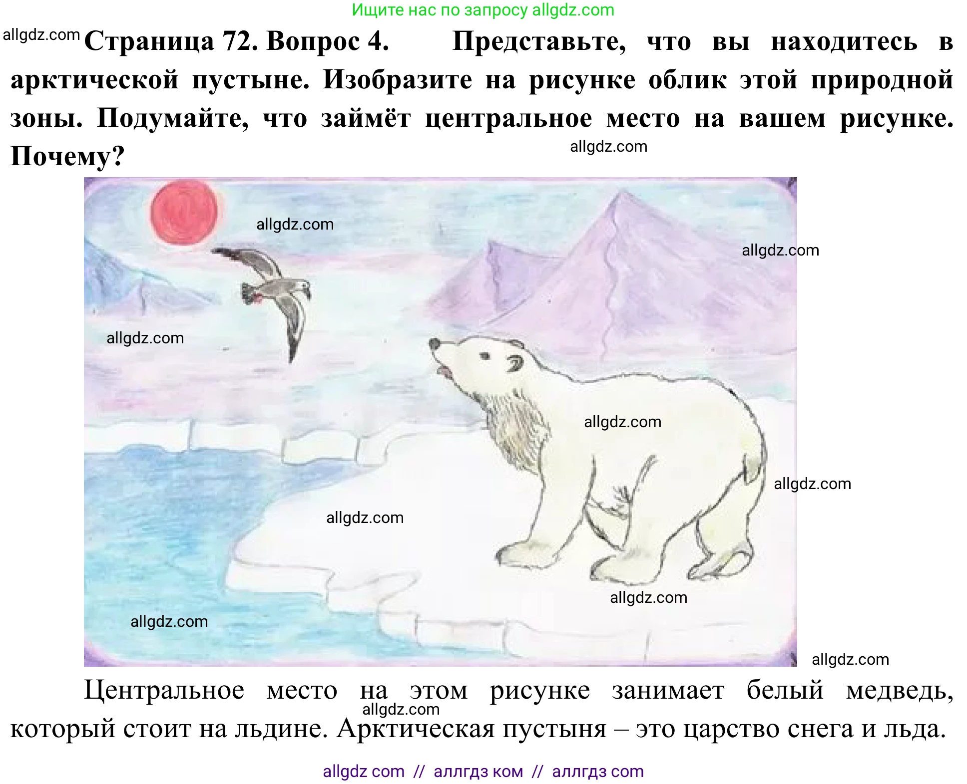 География, 5-6 класс Мой тренажёр, автор: Николина Вера Викторовна, издательство Просвещение, Москва, 2023, жёлтого цвета, страница 72, номер 4, Решение