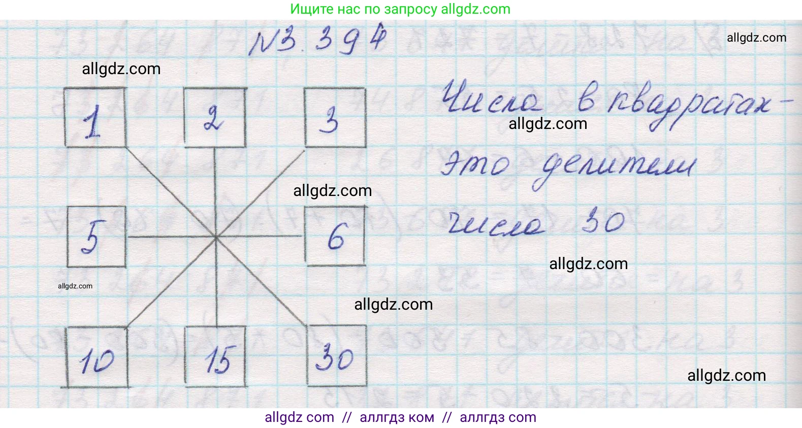 Математика, 5 класс Учебник, авторы: Виленкин Наум Яковлевич, Жохов Владимир Иванович, Чесноков Александр Семёнович, Александрова Лилия Александровна, Шварцбурд Семён Исаакович, издательство Просвещение, Москва, 2023, белого цвета, Часть 1, страница 126, номер 3.394, Решение 1