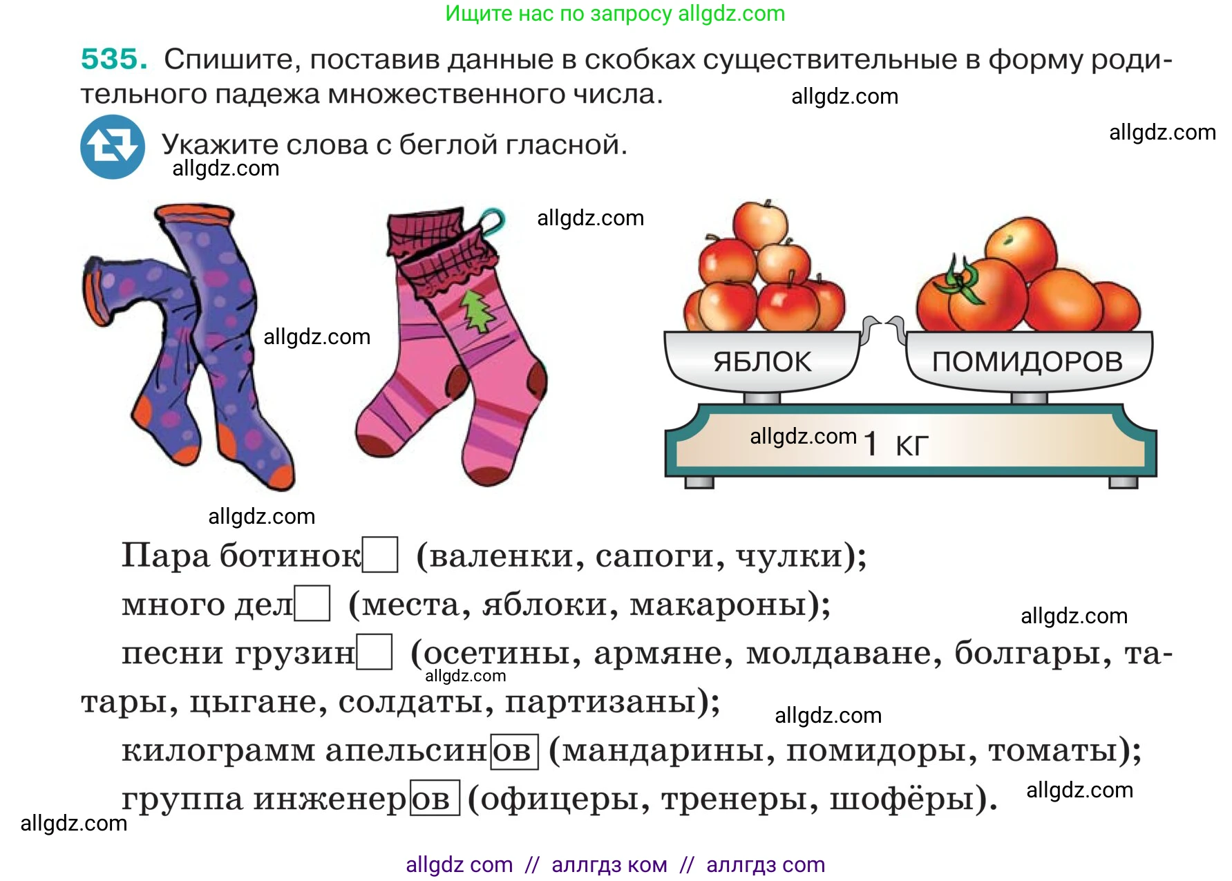 Русский язык, 5 класс Учебник, авторы: Ладыженская Таиса Алексеевна, Баранов Михаил Трофимович, Тростенцова Лидия Александровна, Ладыженская Наталия Вениаминовна, Дейкина Алевтина Дмитриевна, Григорян Лариса Трофимовна, Кулибаба Иван Иванович, Антонова Любовь Геннадиевна, издательство Просвещение, Москва, 2023, салатового цвета, Часть 2, страница 38, номер 535, Условие