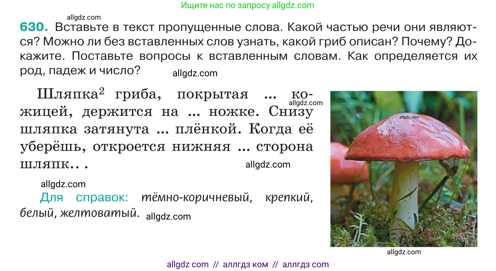 Русский язык, 5 класс Учебник, авторы: Ладыженская Таиса Алексеевна, Баранов Михаил Трофимович, Тростенцова Лидия Александровна, Ладыженская Наталия Вениаминовна, Дейкина Алевтина Дмитриевна, Григорян Лариса Трофимовна, Кулибаба Иван Иванович, Антонова Любовь Геннадиевна, издательство Просвещение, Москва, 2023, салатового цвета, Часть 2, страница 76, номер 630, Условие