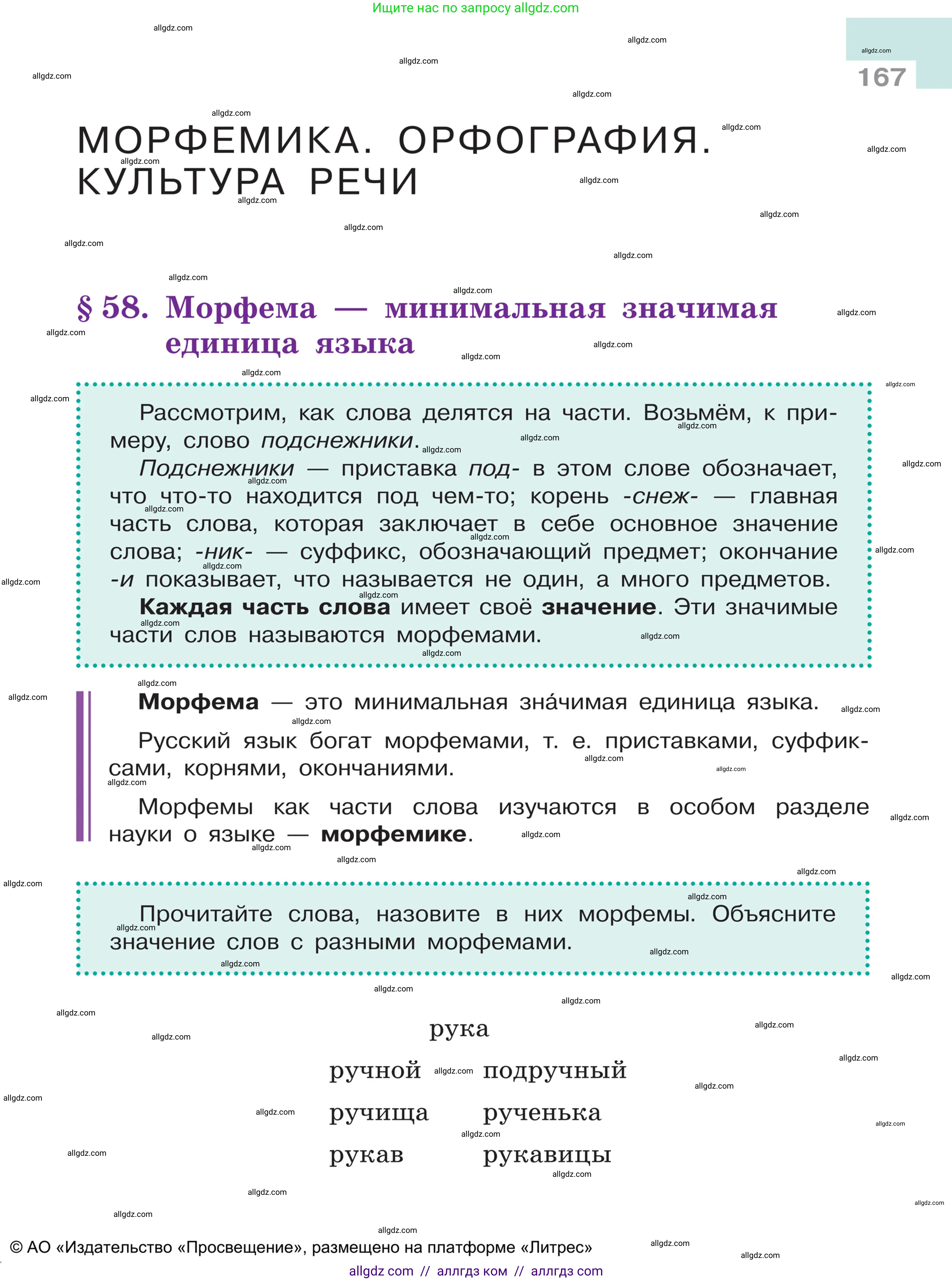 Русский язык, 5 класс Учебник, авторы: Ладыженская Таиса Алексеевна, Баранов Михаил Трофимович, Тростенцова Лидия Александровна, Ладыженская Наталия Вениаминовна, Дейкина Алевтина Дмитриевна, Григорян Лариса Трофимовна, Кулибаба Иван Иванович, Антонова Любовь Геннадиевна, издательство Просвещение, Москва, 2023, салатового цвета, Часть 1, страница 167