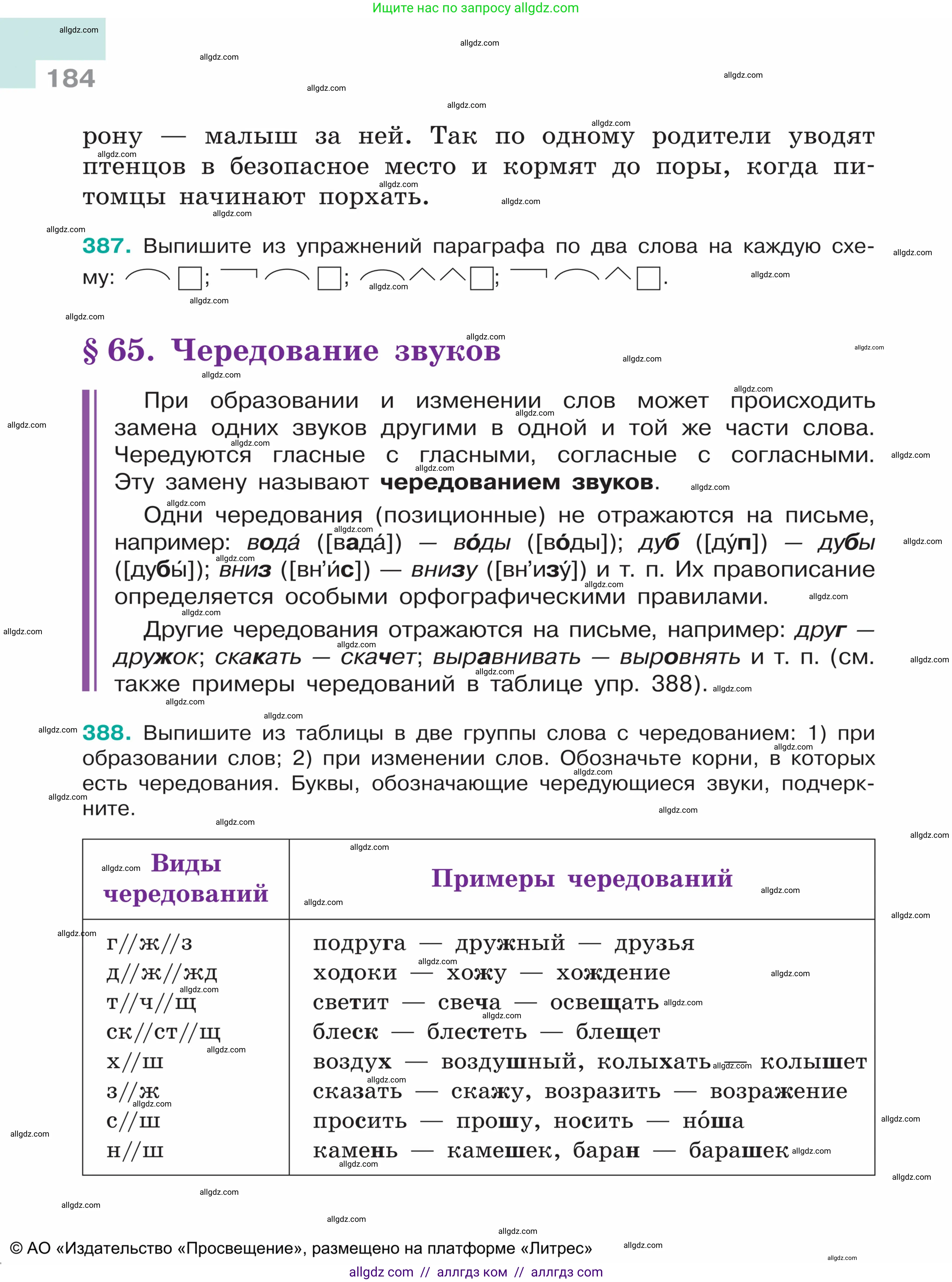 Русский язык, 5 класс Учебник, авторы: Ладыженская Таиса Алексеевна, Баранов Михаил Трофимович, Тростенцова Лидия Александровна, Ладыженская Наталия Вениаминовна, Дейкина Алевтина Дмитриевна, Григорян Лариса Трофимовна, Кулибаба Иван Иванович, Антонова Любовь Геннадиевна, издательство Просвещение, Москва, 2023, салатового цвета, Часть 1, страница 184