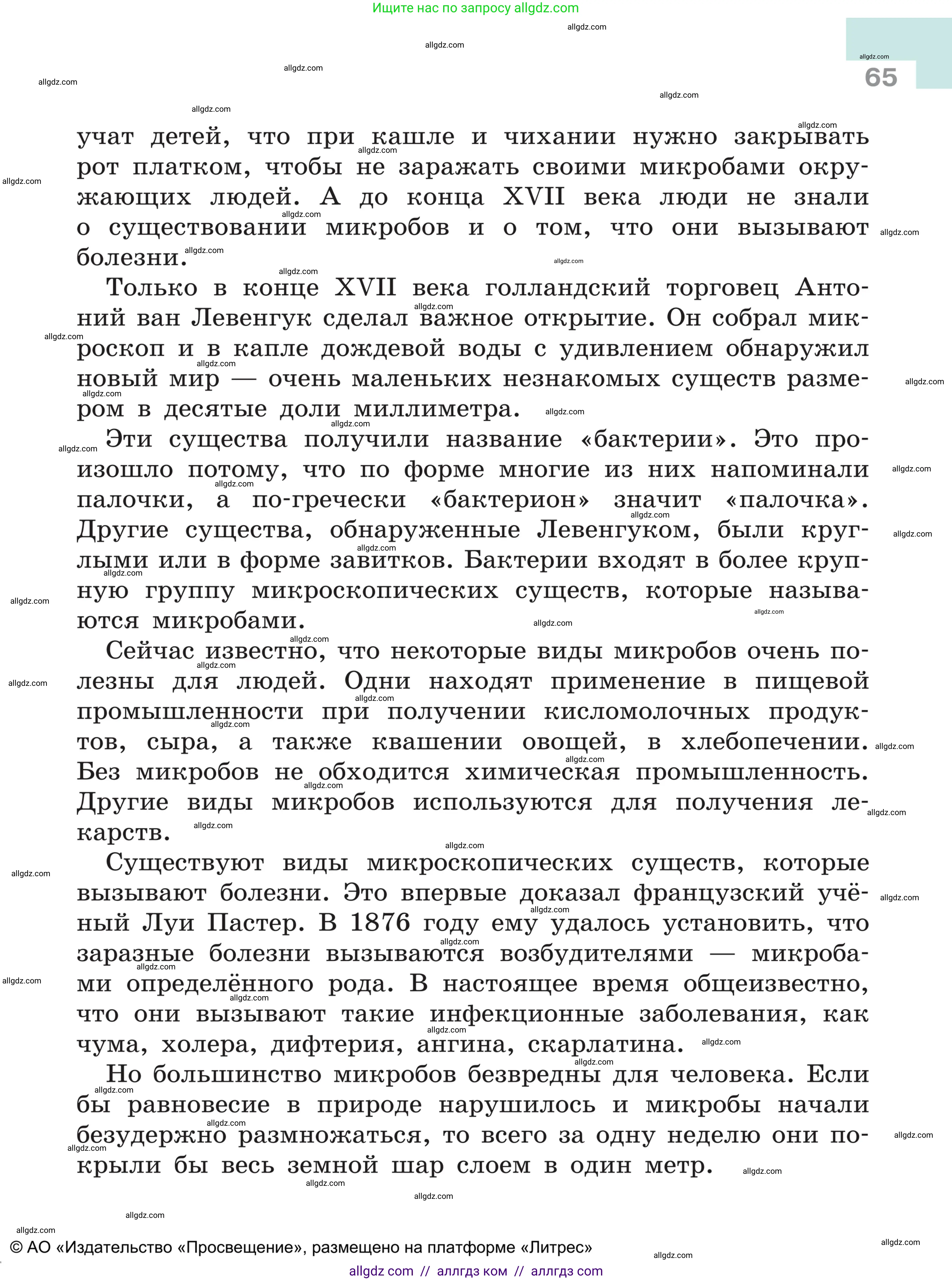 Русский язык, 5 класс Учебник, авторы: Ладыженская Таиса Алексеевна, Баранов Михаил Трофимович, Тростенцова Лидия Александровна, Ладыженская Наталия Вениаминовна, Дейкина Алевтина Дмитриевна, Григорян Лариса Трофимовна, Кулибаба Иван Иванович, Антонова Любовь Геннадиевна, издательство Просвещение, Москва, 2023, салатового цвета, страница 65