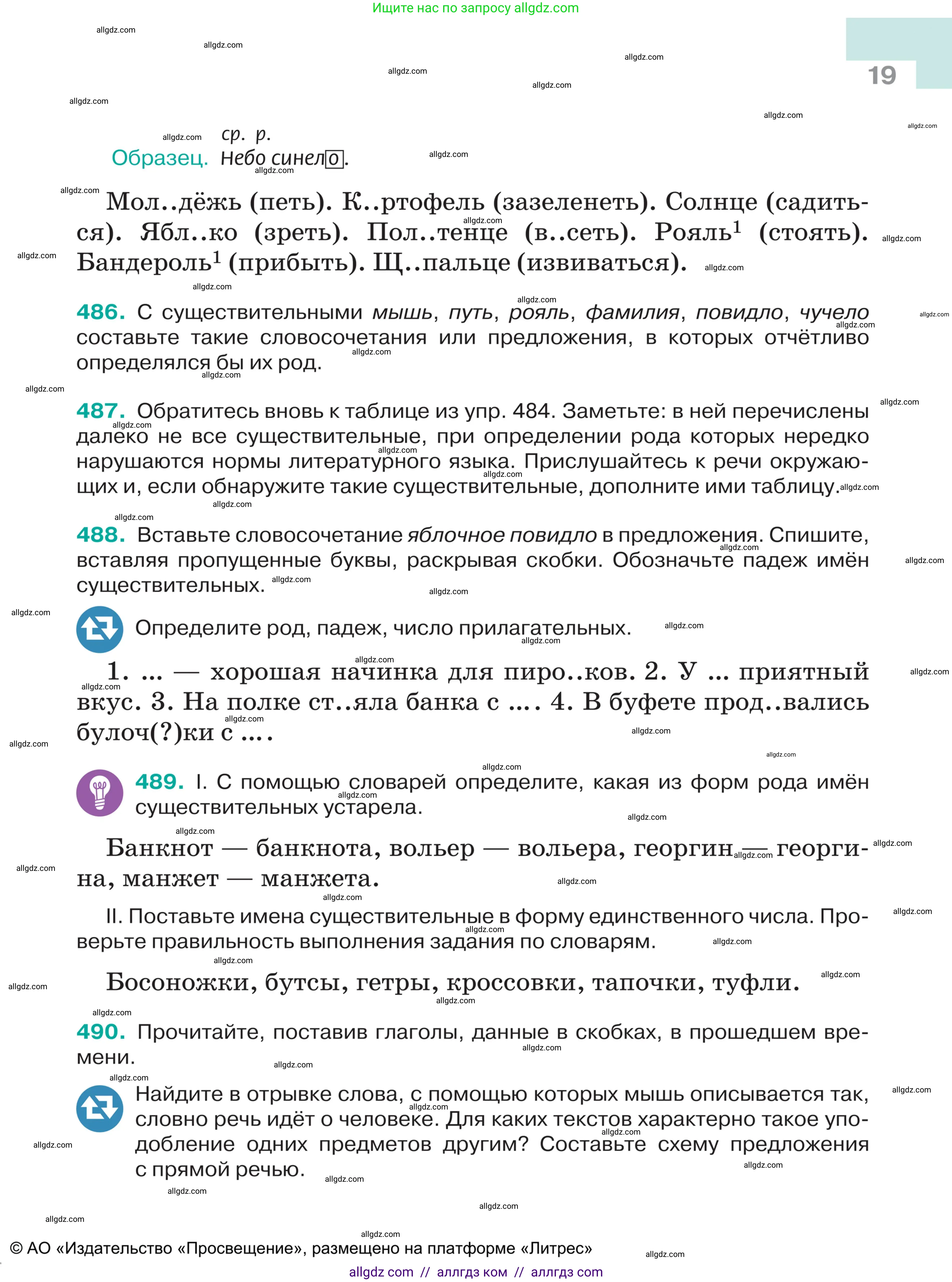 Русский язык, 5 класс Учебник, авторы: Ладыженская Таиса Алексеевна, Баранов Михаил Трофимович, Тростенцова Лидия Александровна, Ладыженская Наталия Вениаминовна, Дейкина Алевтина Дмитриевна, Григорян Лариса Трофимовна, Кулибаба Иван Иванович, Антонова Любовь Геннадиевна, издательство Просвещение, Москва, 2023, салатового цвета, Часть 2, страница 19