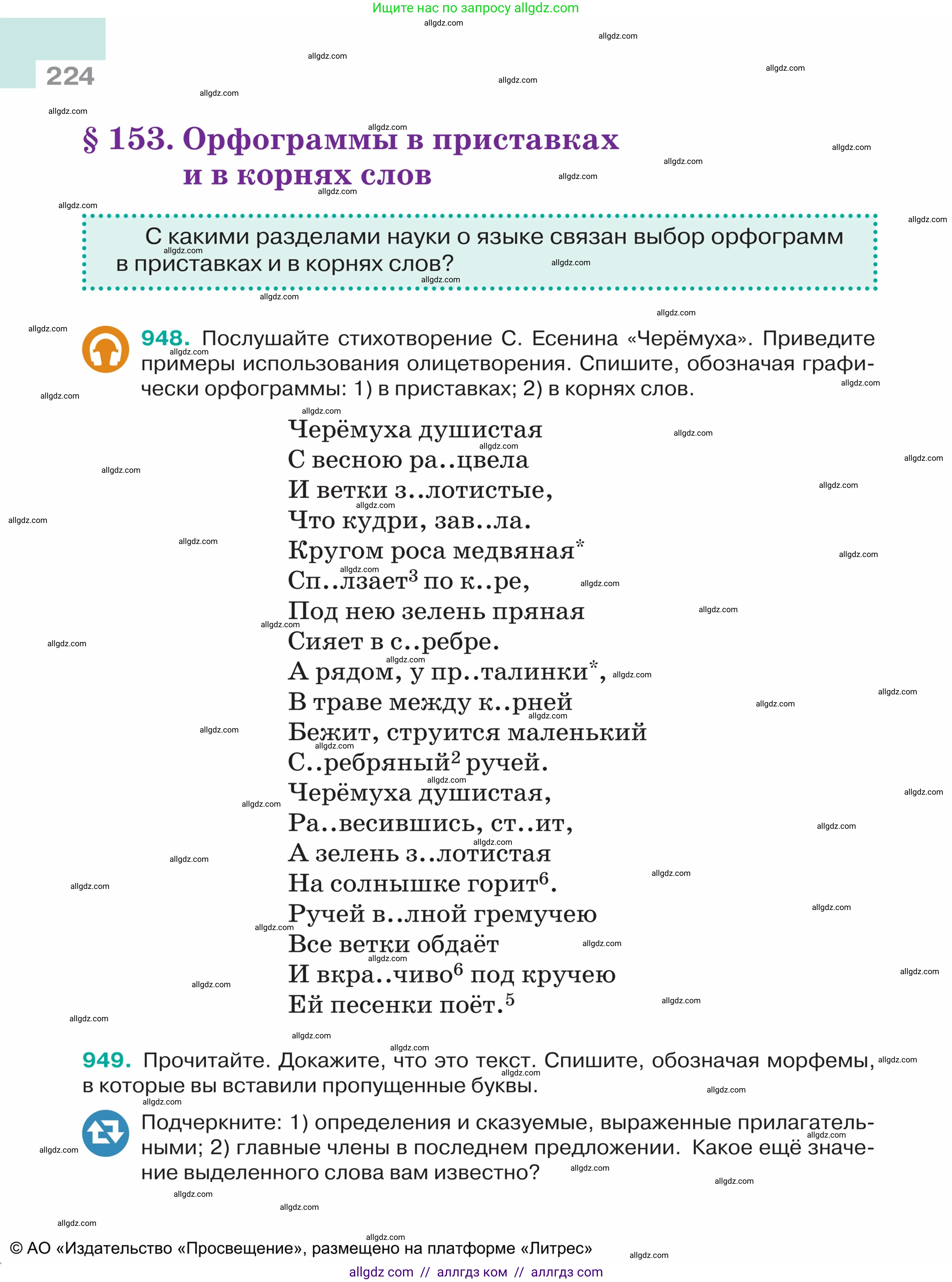 Русский язык, 5 класс Учебник, авторы: Ладыженская Таиса Алексеевна, Баранов Михаил Трофимович, Тростенцова Лидия Александровна, Ладыженская Наталия Вениаминовна, Дейкина Алевтина Дмитриевна, Григорян Лариса Трофимовна, Кулибаба Иван Иванович, Антонова Любовь Геннадиевна, издательство Просвещение, Москва, 2023, салатового цвета, Часть 2, страница 224