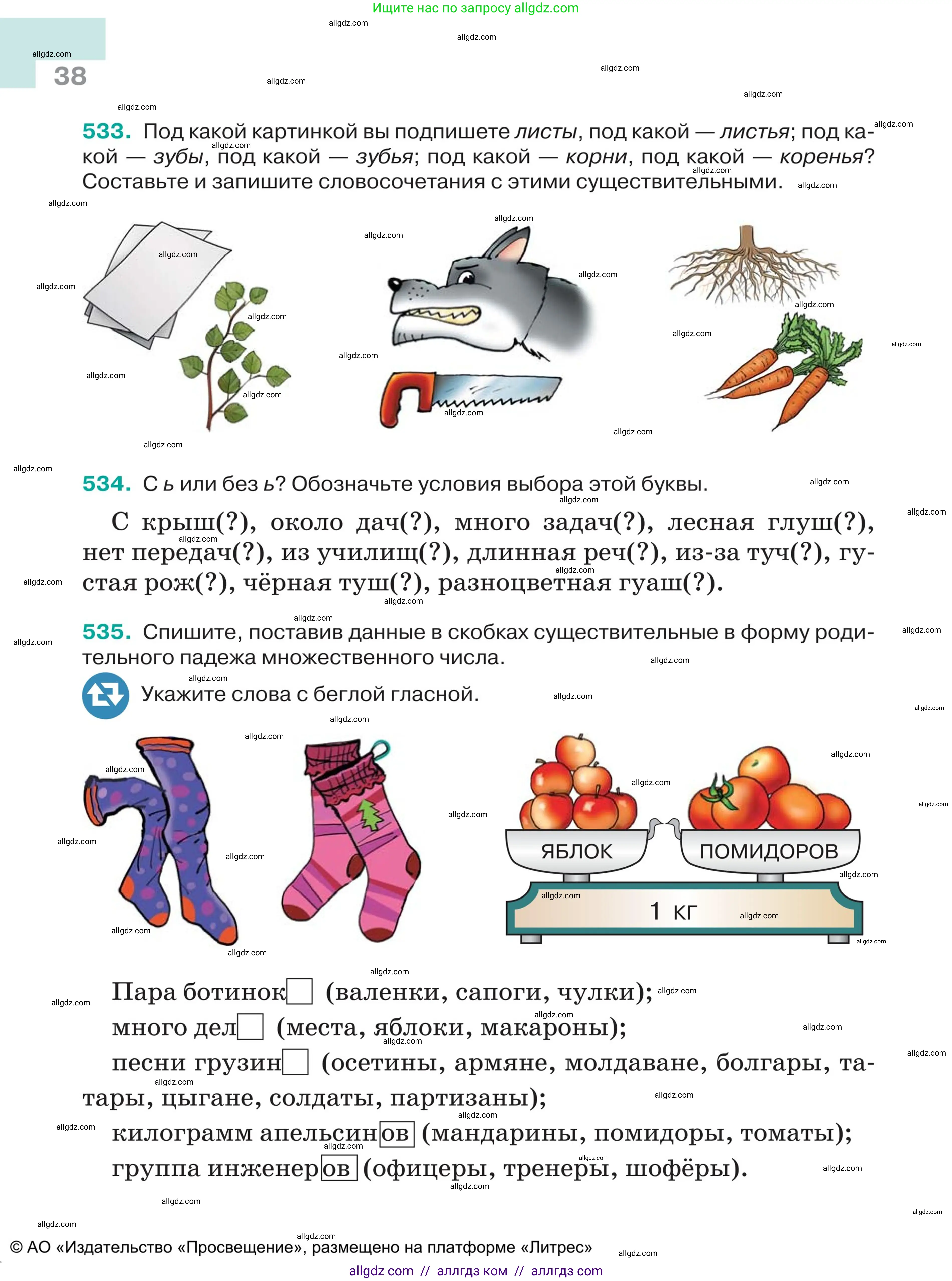 Русский язык, 5 класс Учебник, авторы: Ладыженская Таиса Алексеевна, Баранов Михаил Трофимович, Тростенцова Лидия Александровна, Ладыженская Наталия Вениаминовна, Дейкина Алевтина Дмитриевна, Григорян Лариса Трофимовна, Кулибаба Иван Иванович, Антонова Любовь Геннадиевна, издательство Просвещение, Москва, 2023, салатового цвета, Часть 2, страница 38