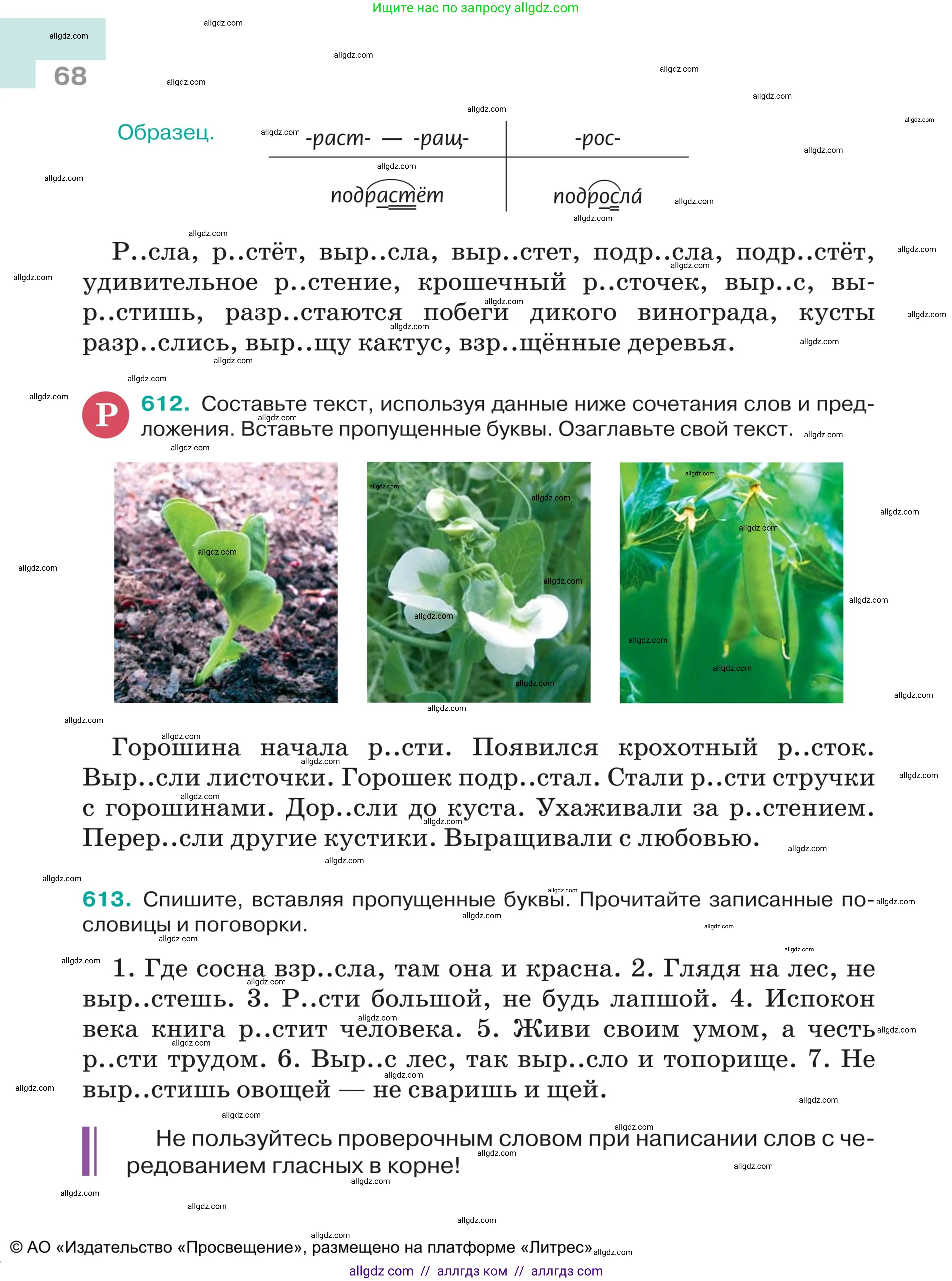 Русский язык, 5 класс Учебник, авторы: Ладыженская Таиса Алексеевна, Баранов Михаил Трофимович, Тростенцова Лидия Александровна, Ладыженская Наталия Вениаминовна, Дейкина Алевтина Дмитриевна, Григорян Лариса Трофимовна, Кулибаба Иван Иванович, Антонова Любовь Геннадиевна, издательство Просвещение, Москва, 2023, салатового цвета, Часть 2, страница 68