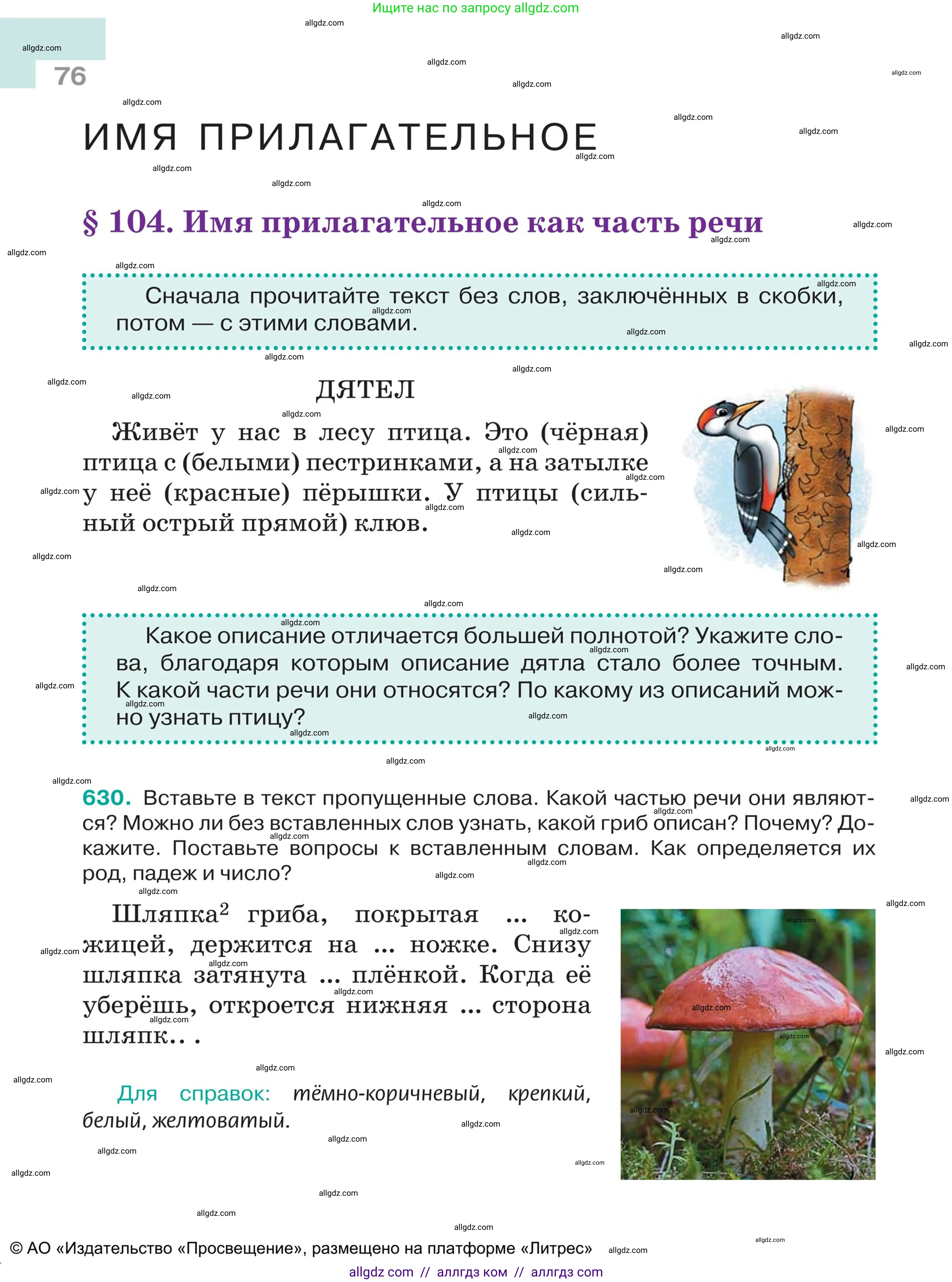 Русский язык, 5 класс Учебник, авторы: Ладыженская Таиса Алексеевна, Баранов Михаил Трофимович, Тростенцова Лидия Александровна, Ладыженская Наталия Вениаминовна, Дейкина Алевтина Дмитриевна, Григорян Лариса Трофимовна, Кулибаба Иван Иванович, Антонова Любовь Геннадиевна, издательство Просвещение, Москва, 2023, салатового цвета, Часть 2, страница 76
