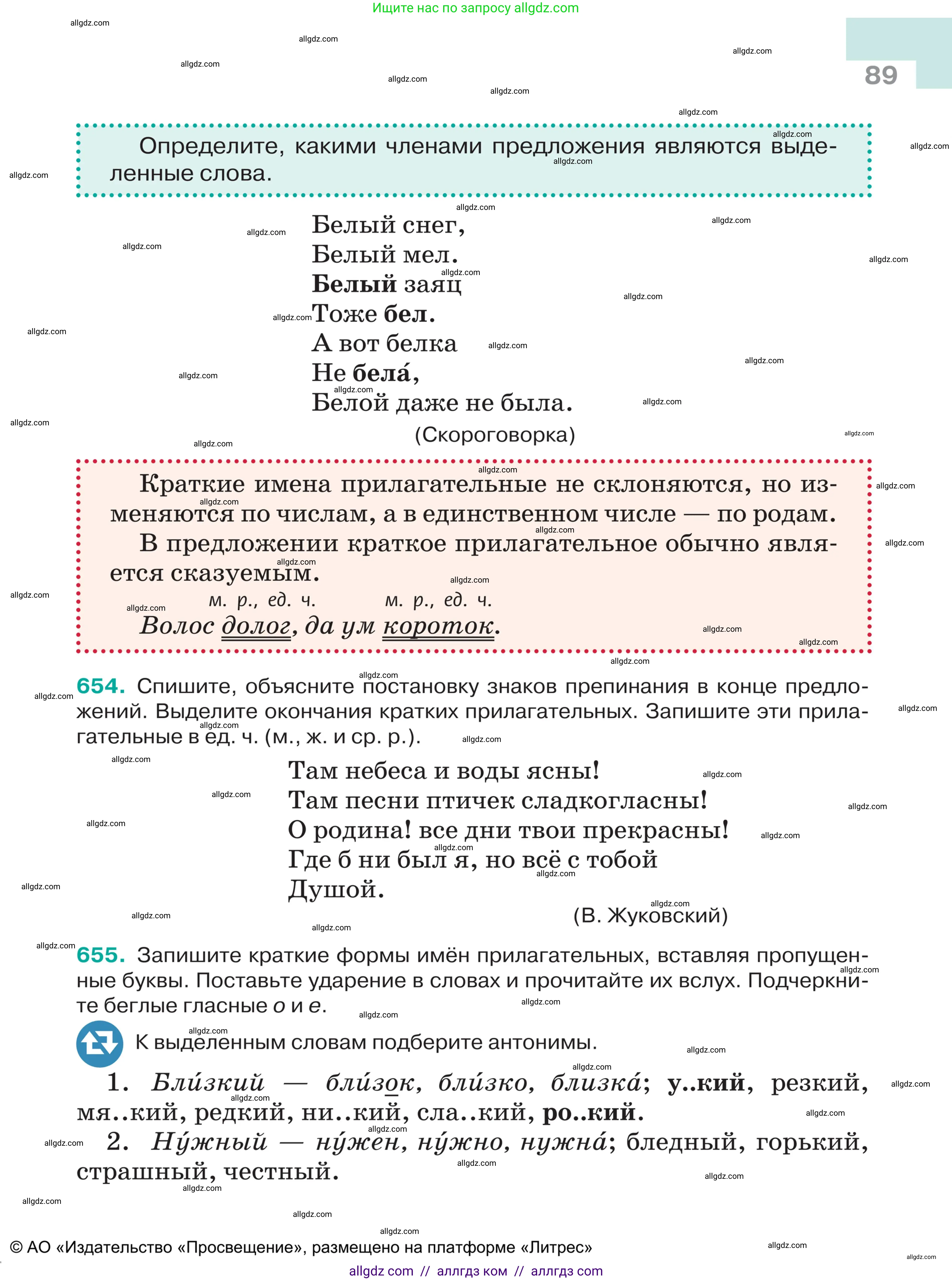 Русский язык, 5 класс Учебник, авторы: Ладыженская Таиса Алексеевна, Баранов Михаил Трофимович, Тростенцова Лидия Александровна, Ладыженская Наталия Вениаминовна, Дейкина Алевтина Дмитриевна, Григорян Лариса Трофимовна, Кулибаба Иван Иванович, Антонова Любовь Геннадиевна, издательство Просвещение, Москва, 2023, салатового цвета, Часть 2, страница 89