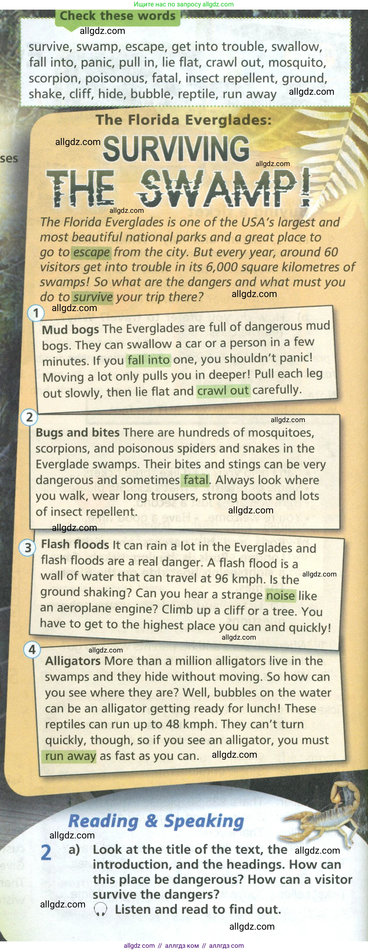 Английский язык (english), 6 класс Учебник (Student's book), авторы: Баранова Ксения Михайловна (Baranova Ksenia), Дули Дженни (Dooley Jenny), Копылова Виктория Викторовна (Kopylova Victoria), Мильруд Радислав Петрович (Millrood Radislav), Эванс Вирджиния (Evans Virginia), издательство Просвещение, Москва, 2023, белого цвета, страница 14, номер 2, Условие