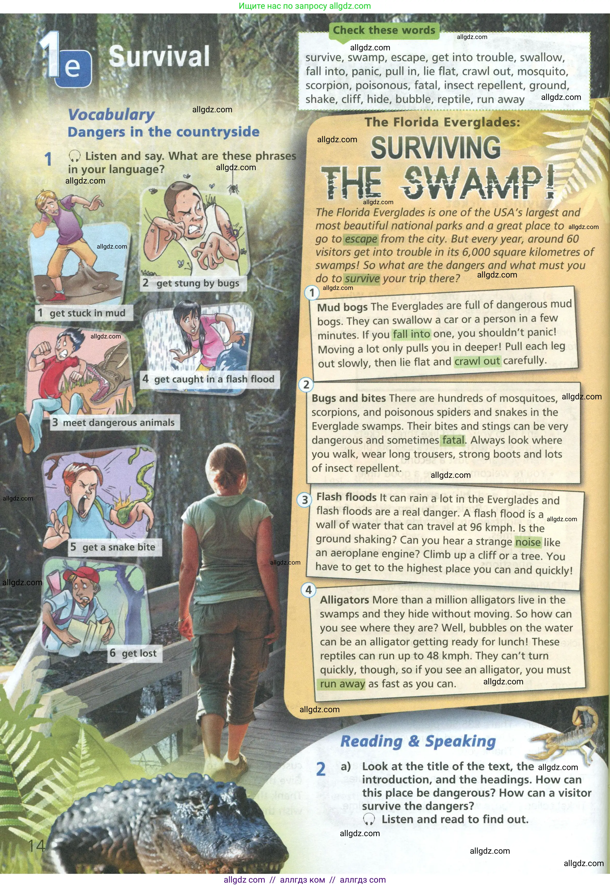 Английский язык (english), 6 класс Учебник (Student's book), авторы: Баранова Ксения Михайловна (Baranova Ksenia), Дули Дженни (Dooley Jenny), Копылова Виктория Викторовна (Kopylova Victoria), Мильруд Радислав Петрович (Millrood Radislav), Эванс Вирджиния (Evans Virginia), издательство Просвещение, Москва, 2023, белого цвета, страница 14