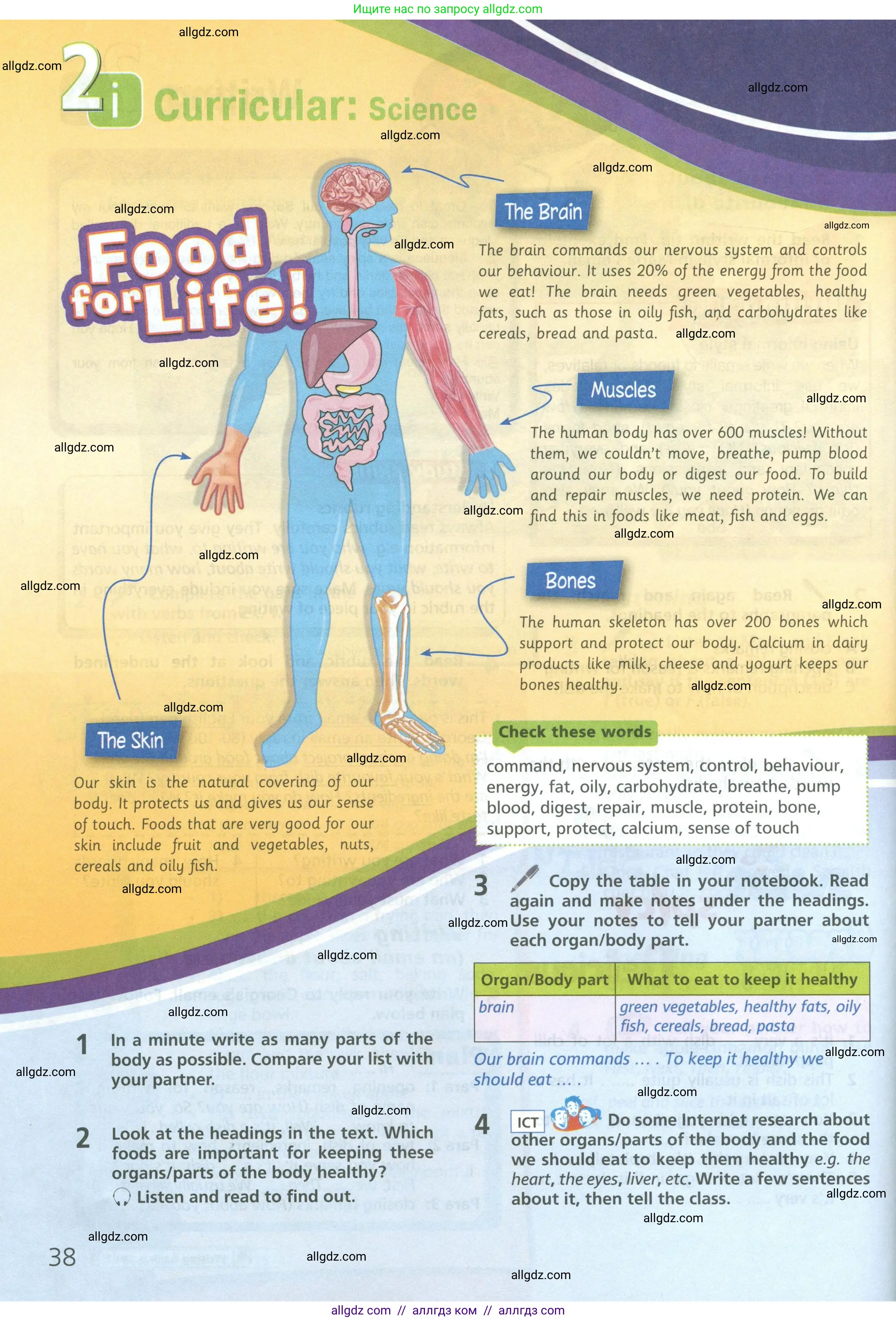 Английский язык (english), 6 класс Учебник (Student's book), авторы: Баранова Ксения Михайловна (Baranova Ksenia), Дули Дженни (Dooley Jenny), Копылова Виктория Викторовна (Kopylova Victoria), Мильруд Радислав Петрович (Millrood Radislav), Эванс Вирджиния (Evans Virginia), издательство Просвещение, Москва, 2023, белого цвета, страница 38