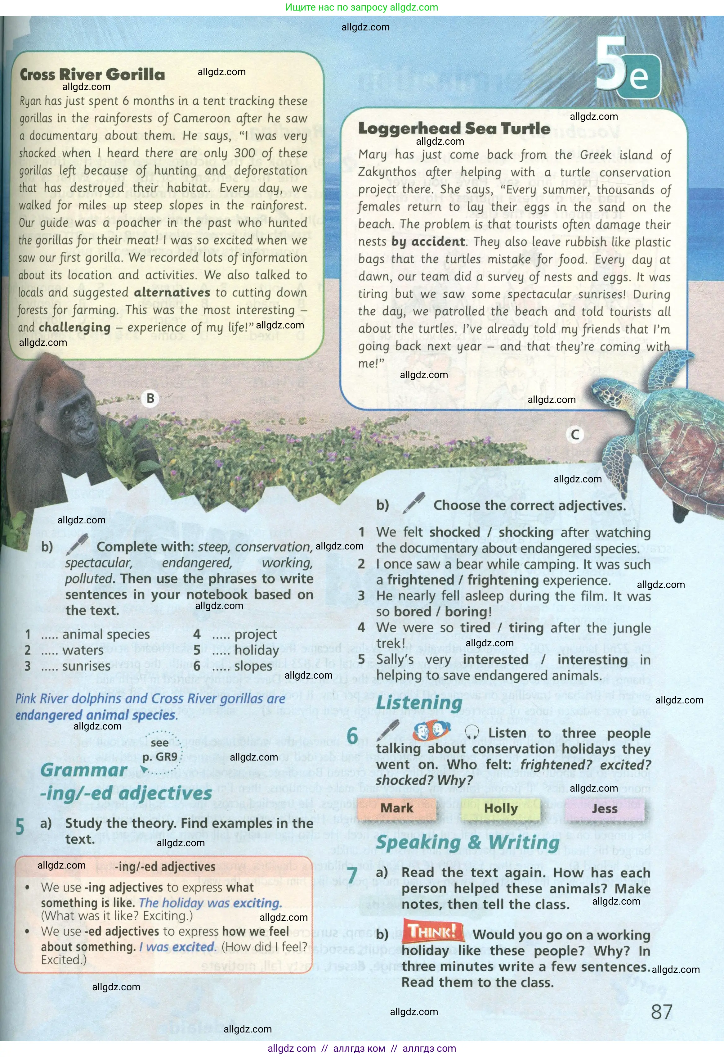 Английский язык (english), 6 класс Учебник (Student's book), авторы: Баранова Ксения Михайловна (Baranova Ksenia), Дули Дженни (Dooley Jenny), Копылова Виктория Викторовна (Kopylova Victoria), Мильруд Радислав Петрович (Millrood Radislav), Эванс Вирджиния (Evans Virginia), издательство Просвещение, Москва, 2023, белого цвета, страница 87