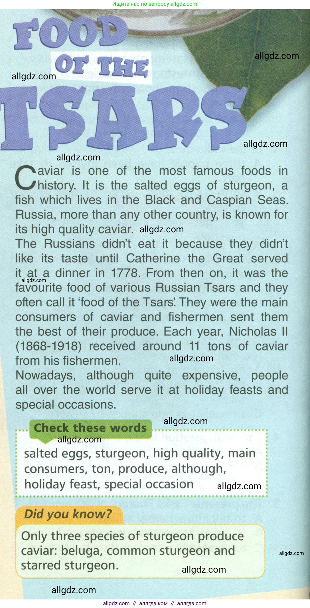 Английский язык (english), 6 класс Учебник (Student's book), авторы: Баранова Ксения Михайловна (Baranova Ksenia), Дули Дженни (Dooley Jenny), Копылова Виктория Викторовна (Kopylova Victoria), Мильруд Радислав Петрович (Millrood Radislav), Эванс Вирджиния (Evans Virginia), издательство Просвещение, Москва, 2023, белого цвета, страница 42, номер 1, Условие (продолжение 2)